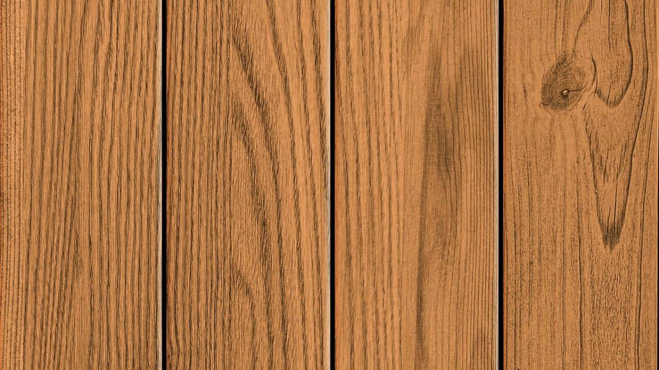 Tanawin ng Paglubog-lubog ng Araw sa Kagubatan Wallpaper