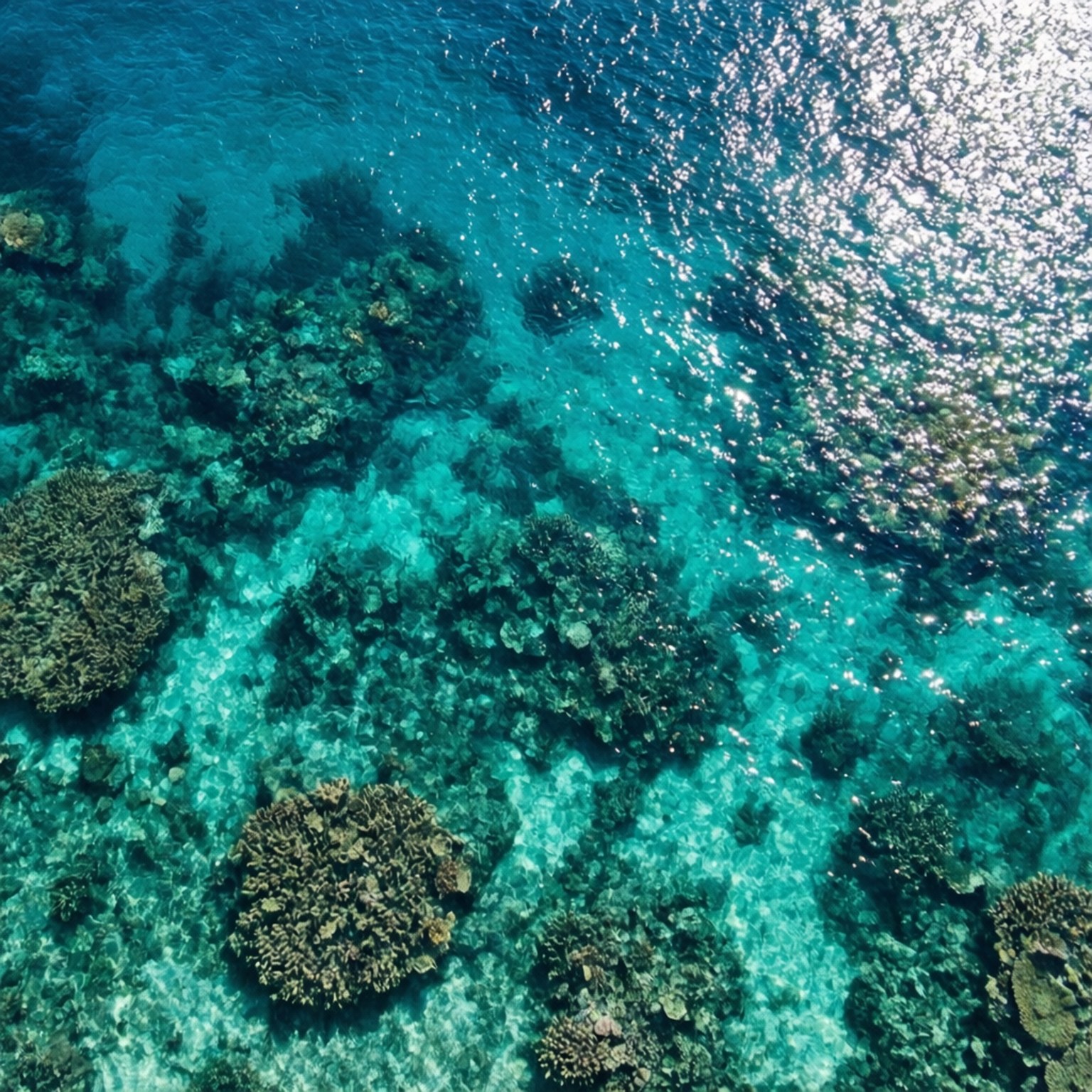 Tanawin ng Turquoise Reef mula sa Itaas Wallpaper