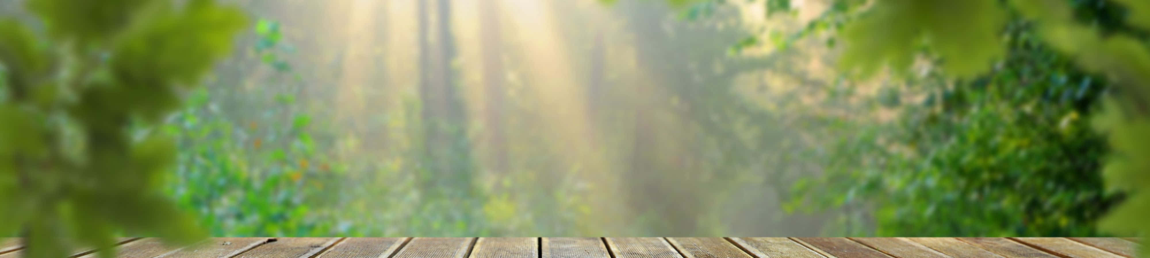 Tangkilikin ang ganda ng kalikasan Wallpaper
