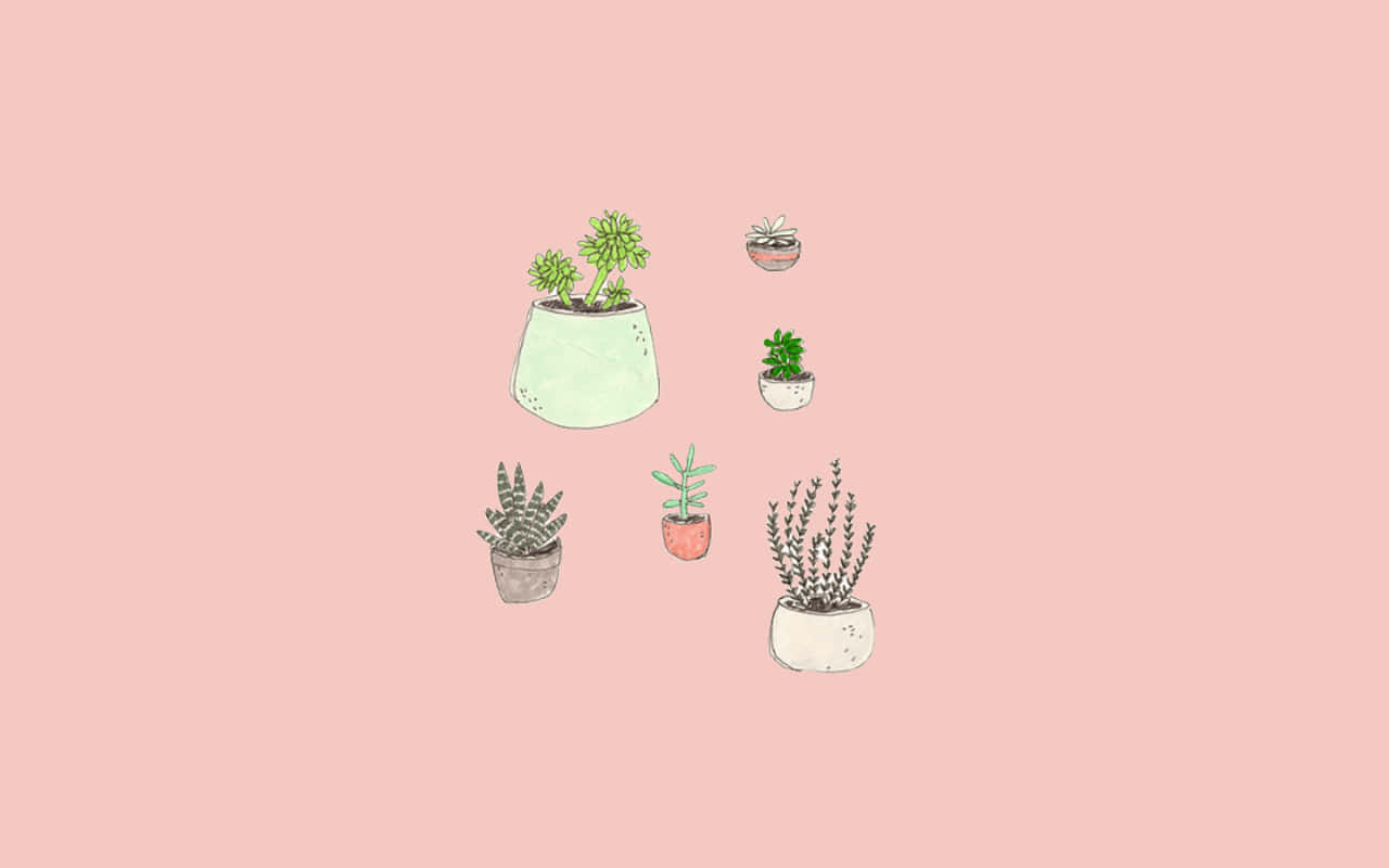 Tangkilikin ang Malambot na Aesthetic na Pink ng Panaginip na Kalikasan Wallpaper