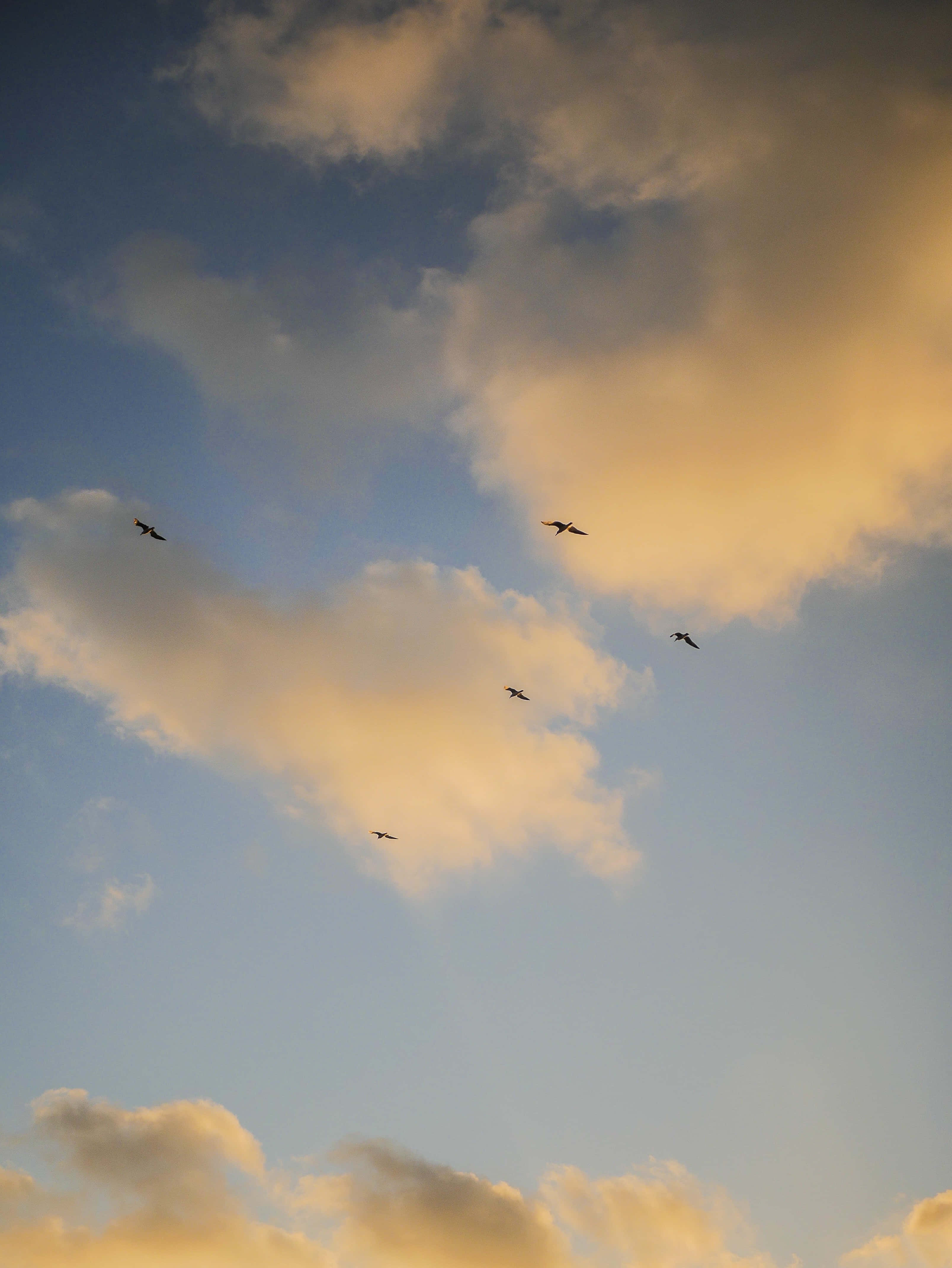 Tangkilin ang ganda ng isang Aesthetic Sky na may kulay pastel Wallpaper