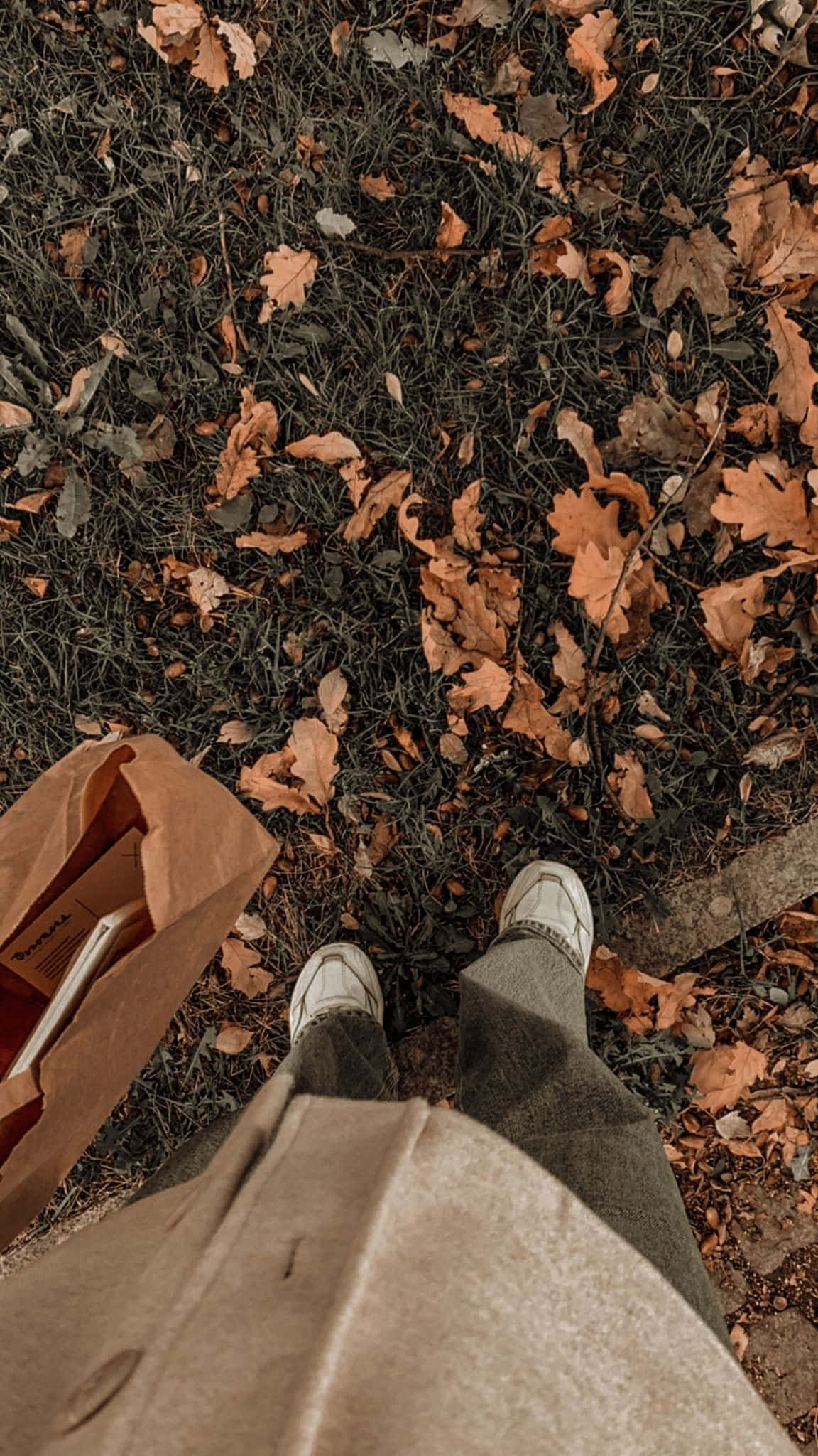 Tangkilin ang mainit at nakakapayapang epekto ng Aesthetic Brown Wallpaper