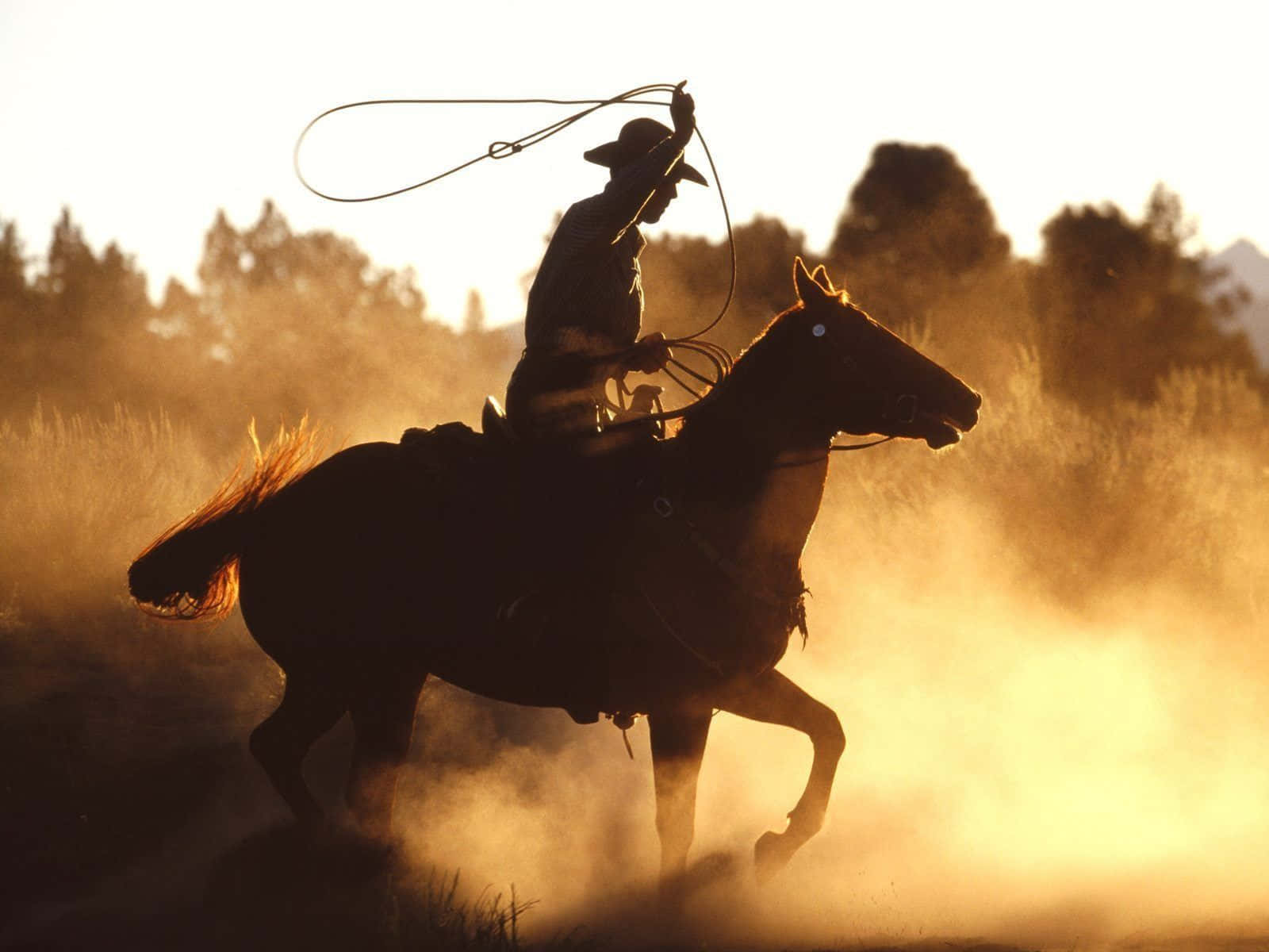 Team Roping Sa Alikabok Wallpaper