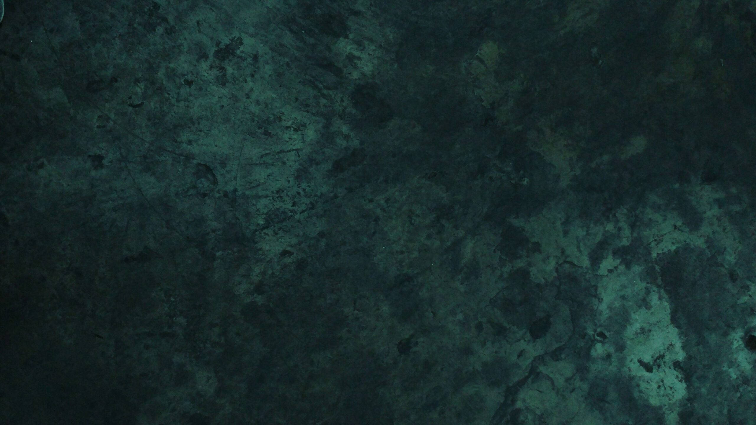 Texturang Luntiang Pader Wallpaper