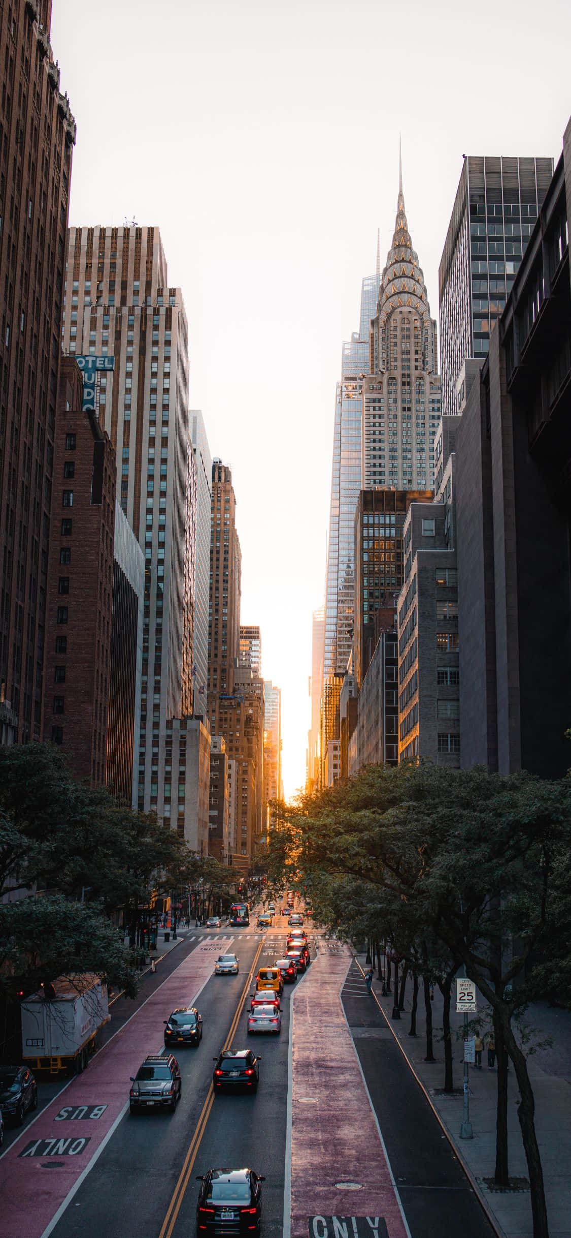 Ang Big Apple na nagniningning sa iPhone Xs Wallpaper
