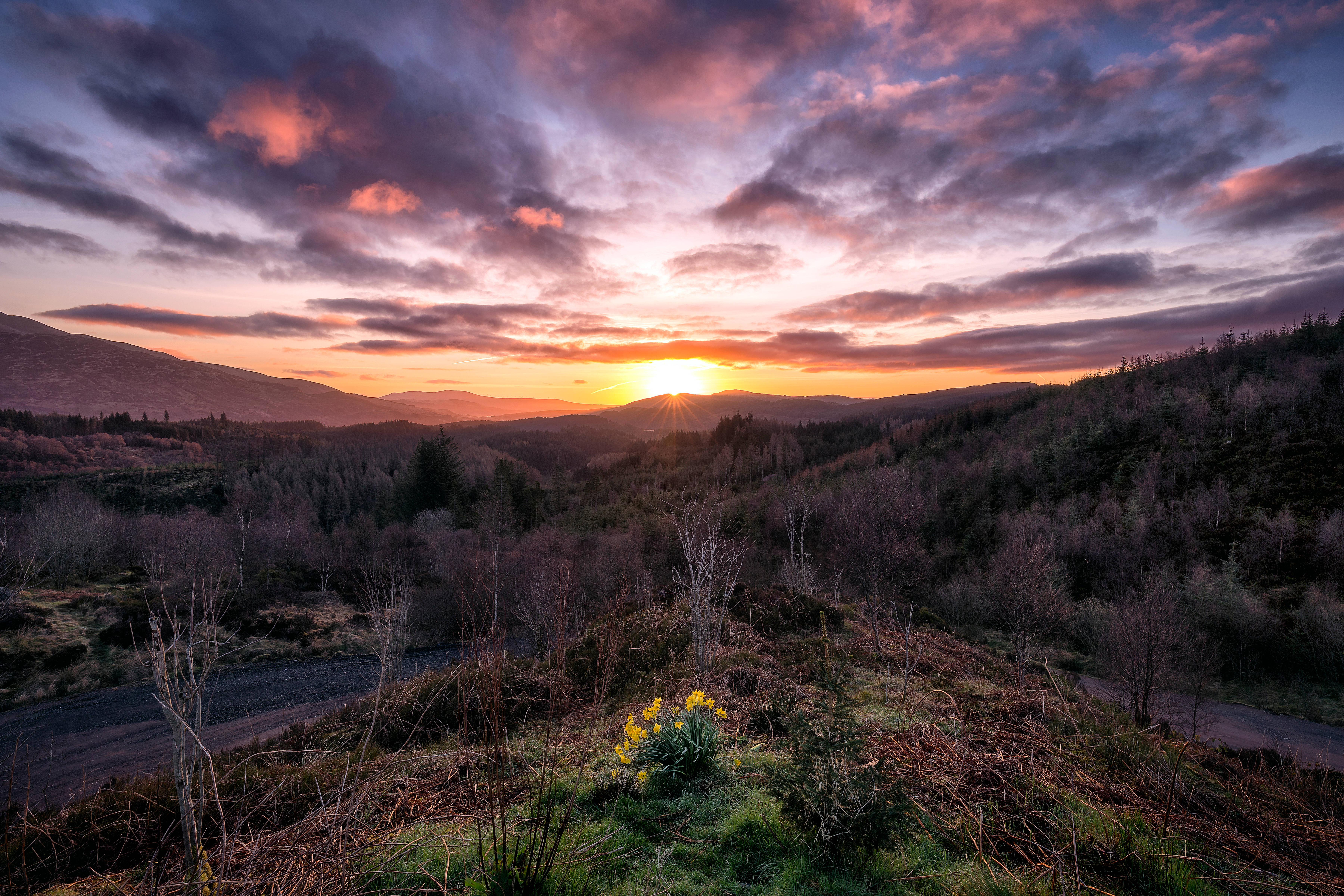 Ang Kaakit-akit na Pagsikat ng Araw sa Trossachs Park sa Scotland Wallpaper