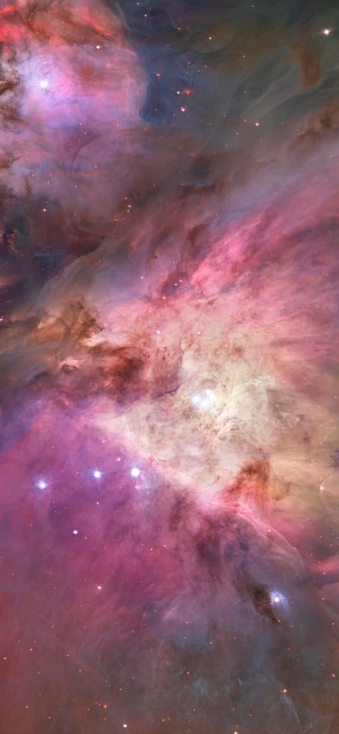 Ang nakakagulat na konstelasyon ng Orion laban sa dagat ng mga bituin. Wallpaper