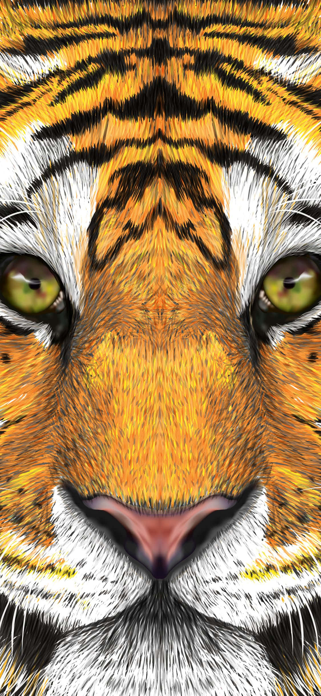 Mga Larawan ng Mukha ng Tigre Wallpaper