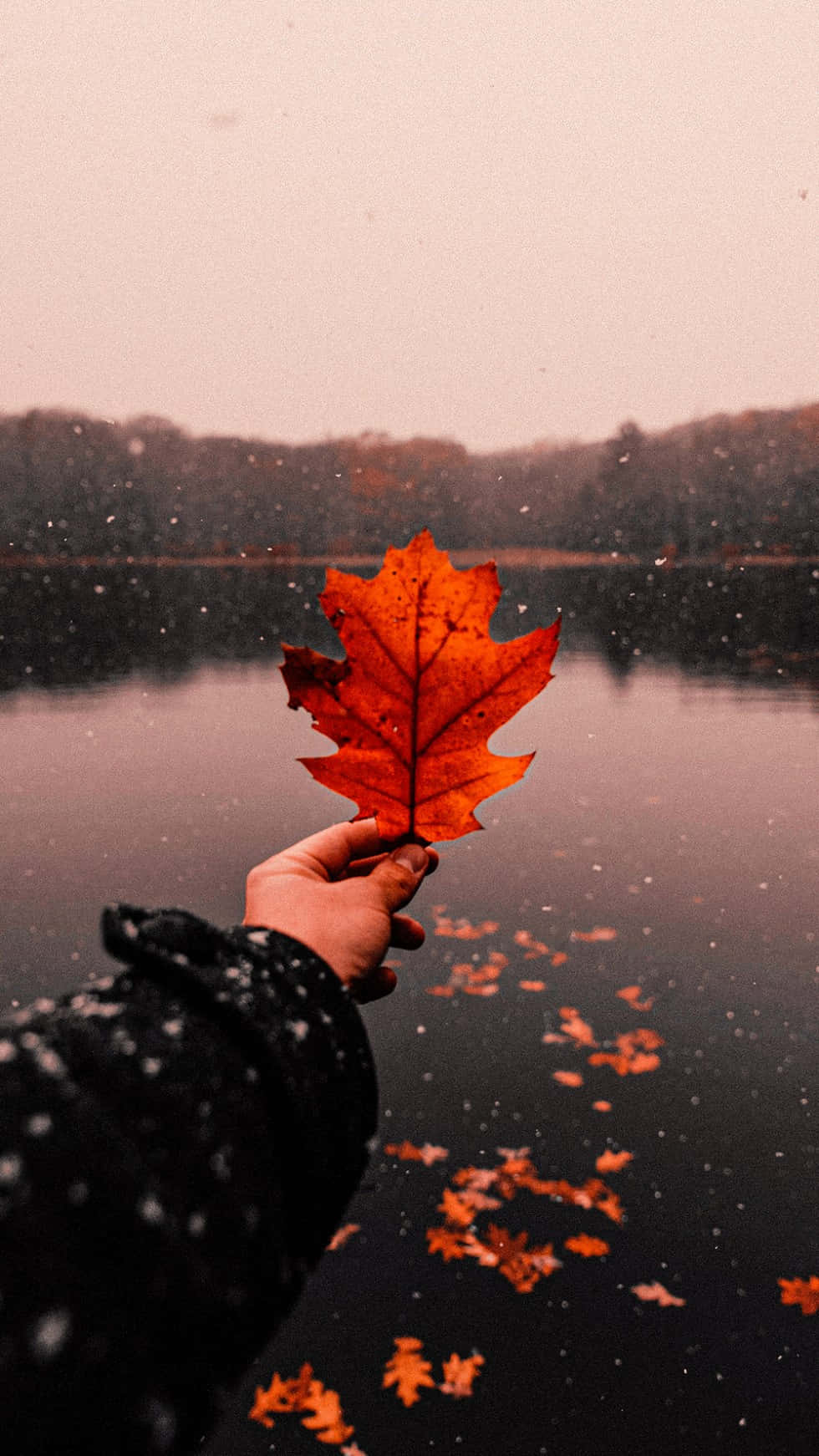 Tinatamasa ang kagandahan ng taglagas Wallpaper