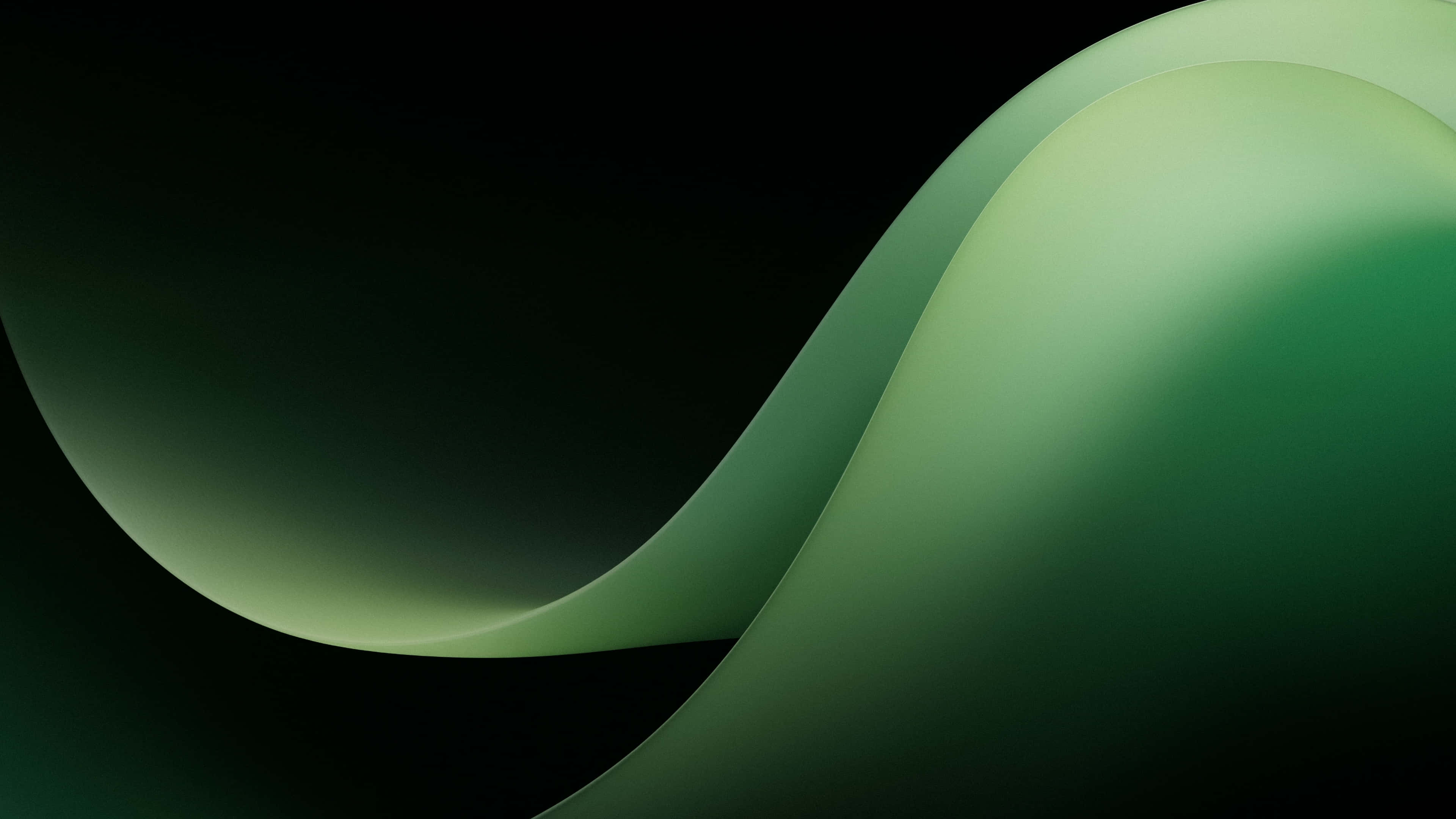 Tingnan ang magandang dark green na background na ito Wallpaper
