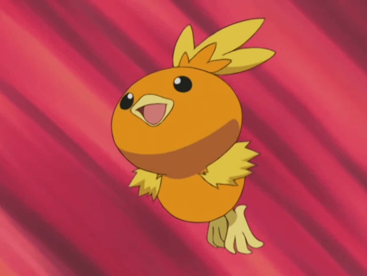 Torchic Tumatalon na may Pulang Background Wallpaper