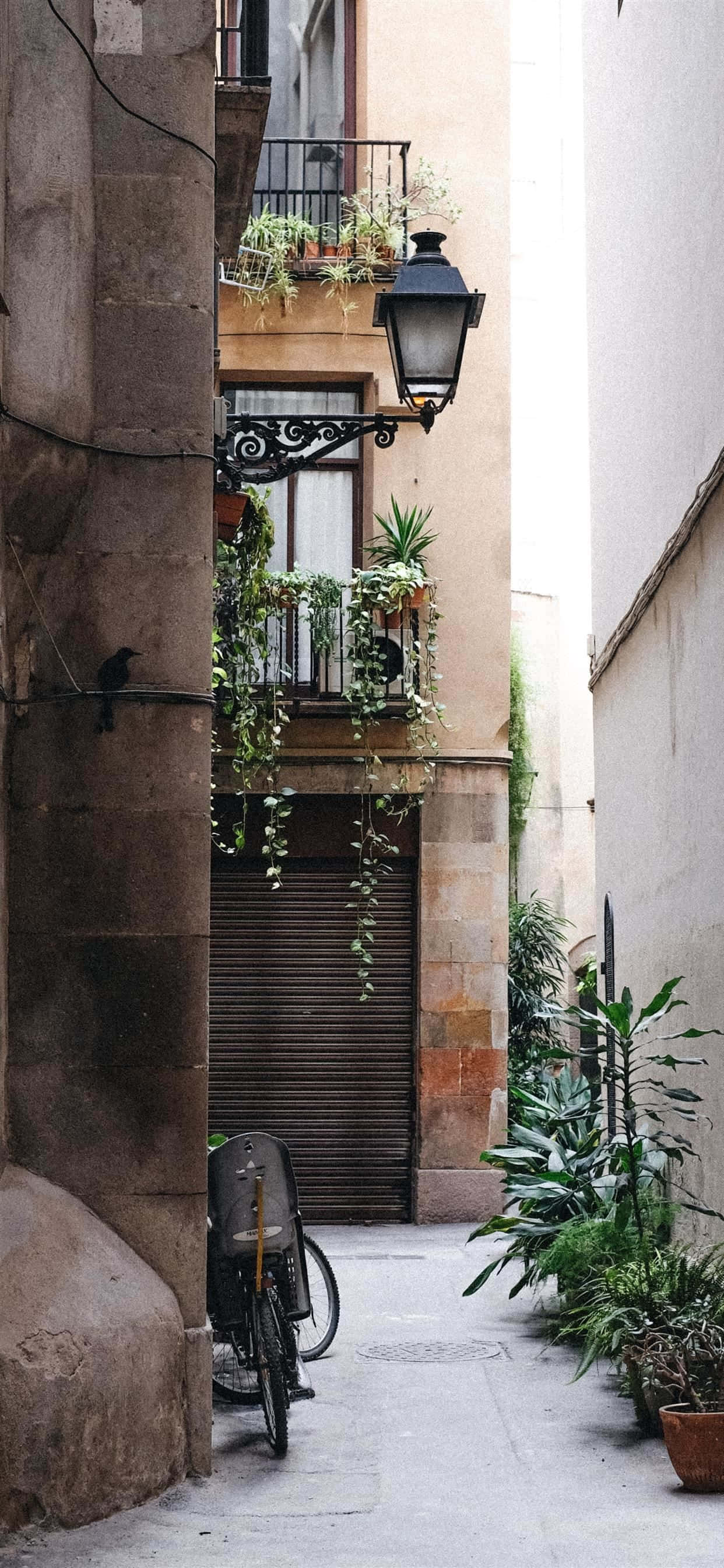 Tradisyonal na Spanish architecture sa Madrid, Spain Wallpaper