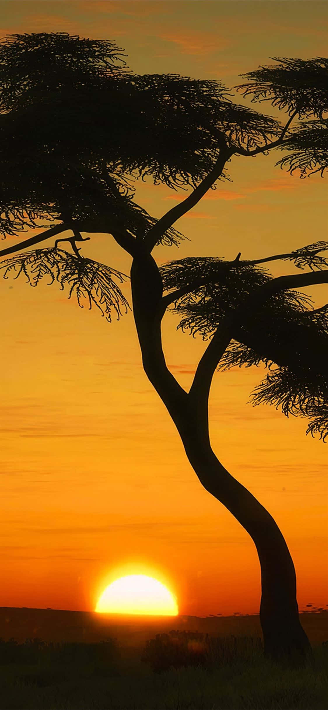 Tree Silhouette Portrait Sa Masai Mara Wallpaper