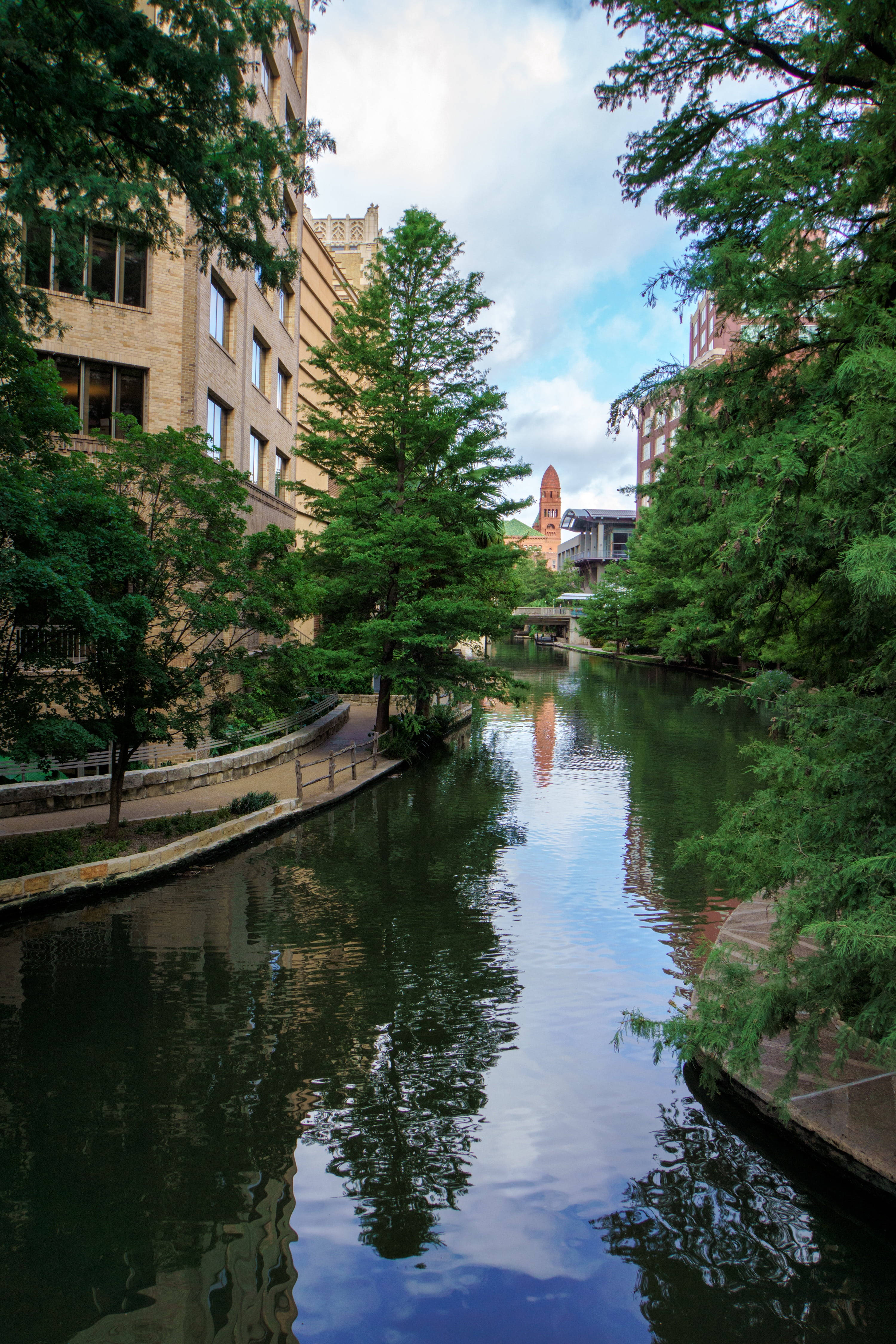 Mga Puno sa Tabi ng San Antonio River Walk Wallpaper