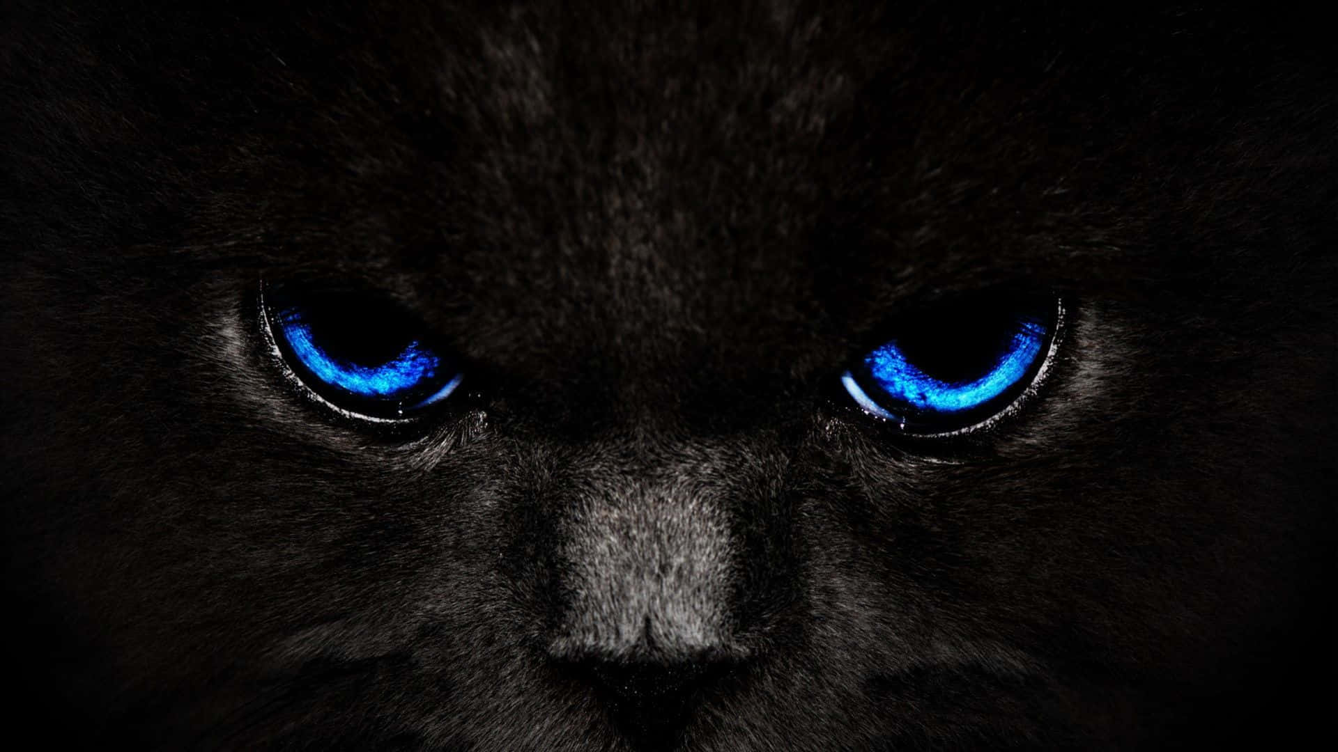 Tuklasin ang ganda at sigla ng Cool Black Wallpaper