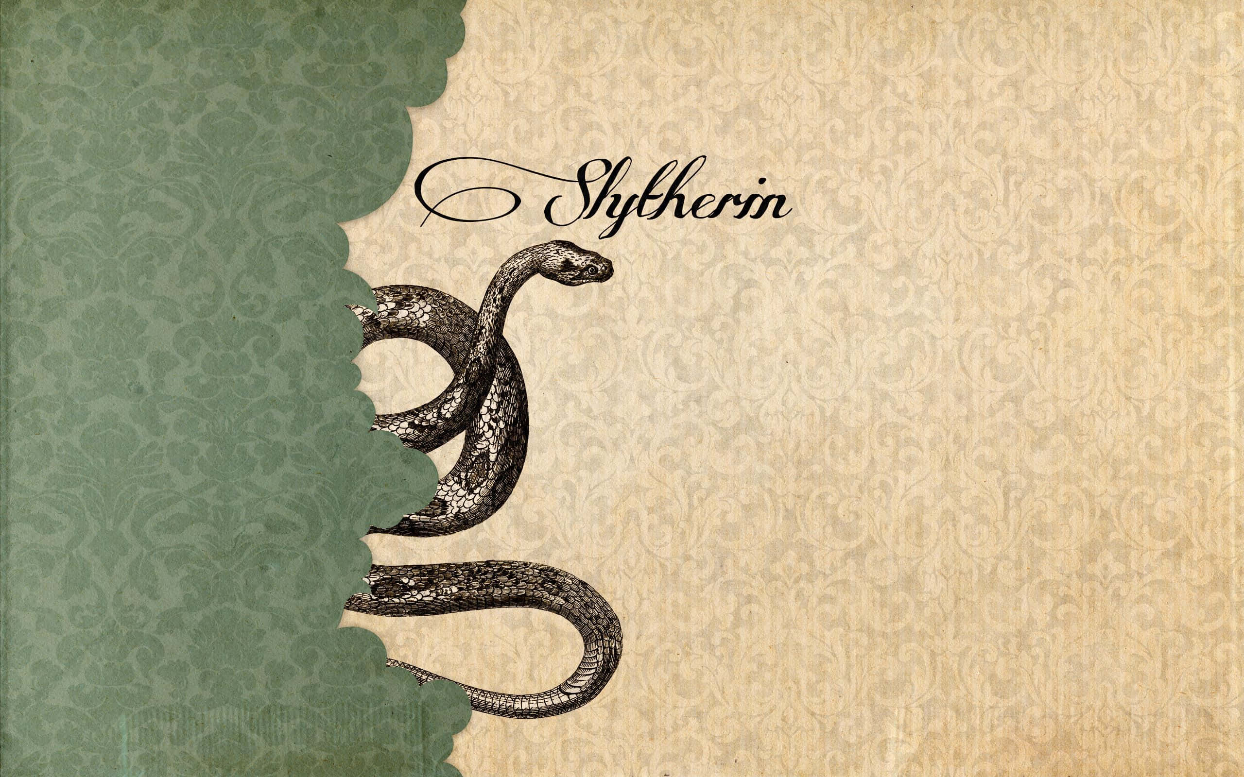 Tuklasin ang mahiwagang alind ng Slytherin Aesthetic 🐍 Wallpaper
