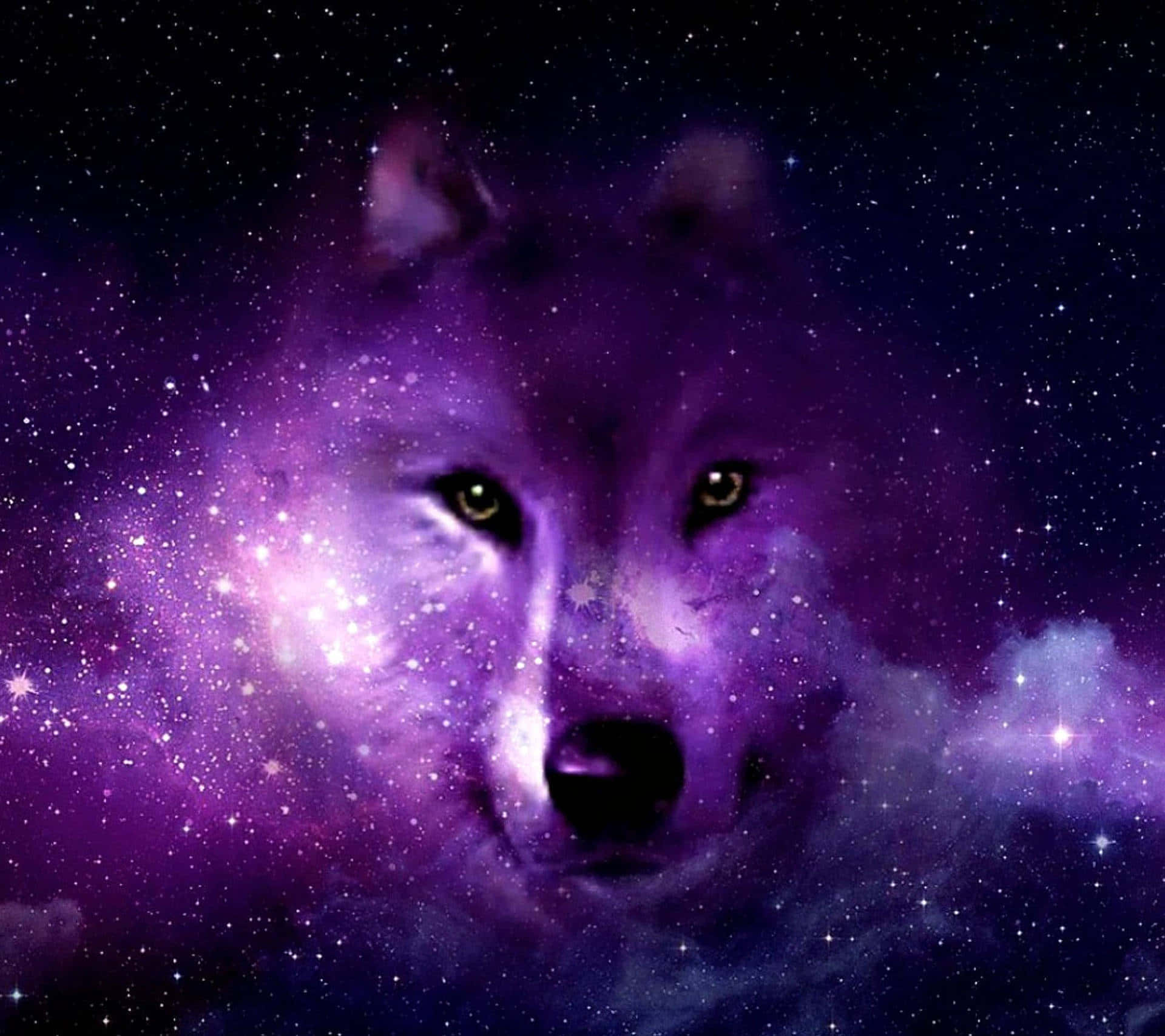 Tuklasin ang mga Misteryo ng Kalawakan Kasama ang Isang Lobo sa Iyong Tabi Wallpaper