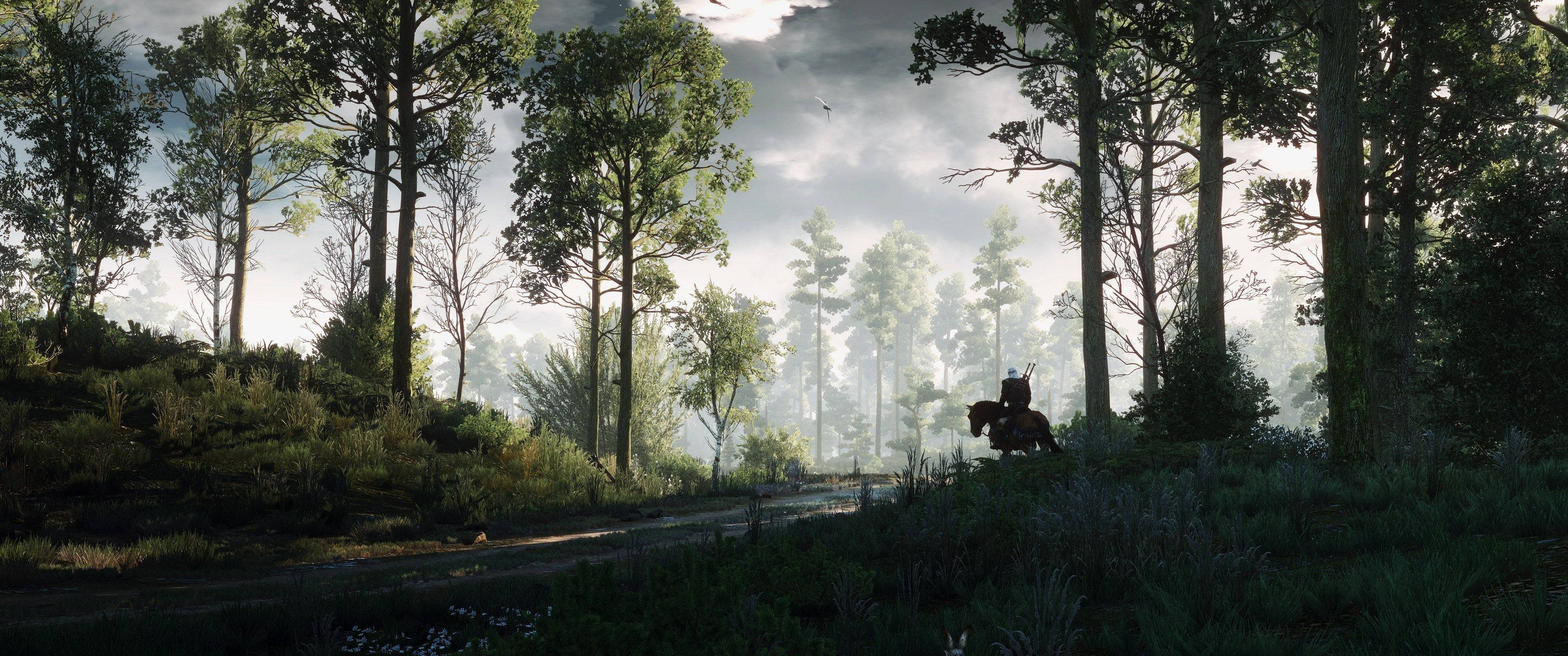 Tuklasin ang mistikal na gubat ng video game na The Witcher Wallpaper