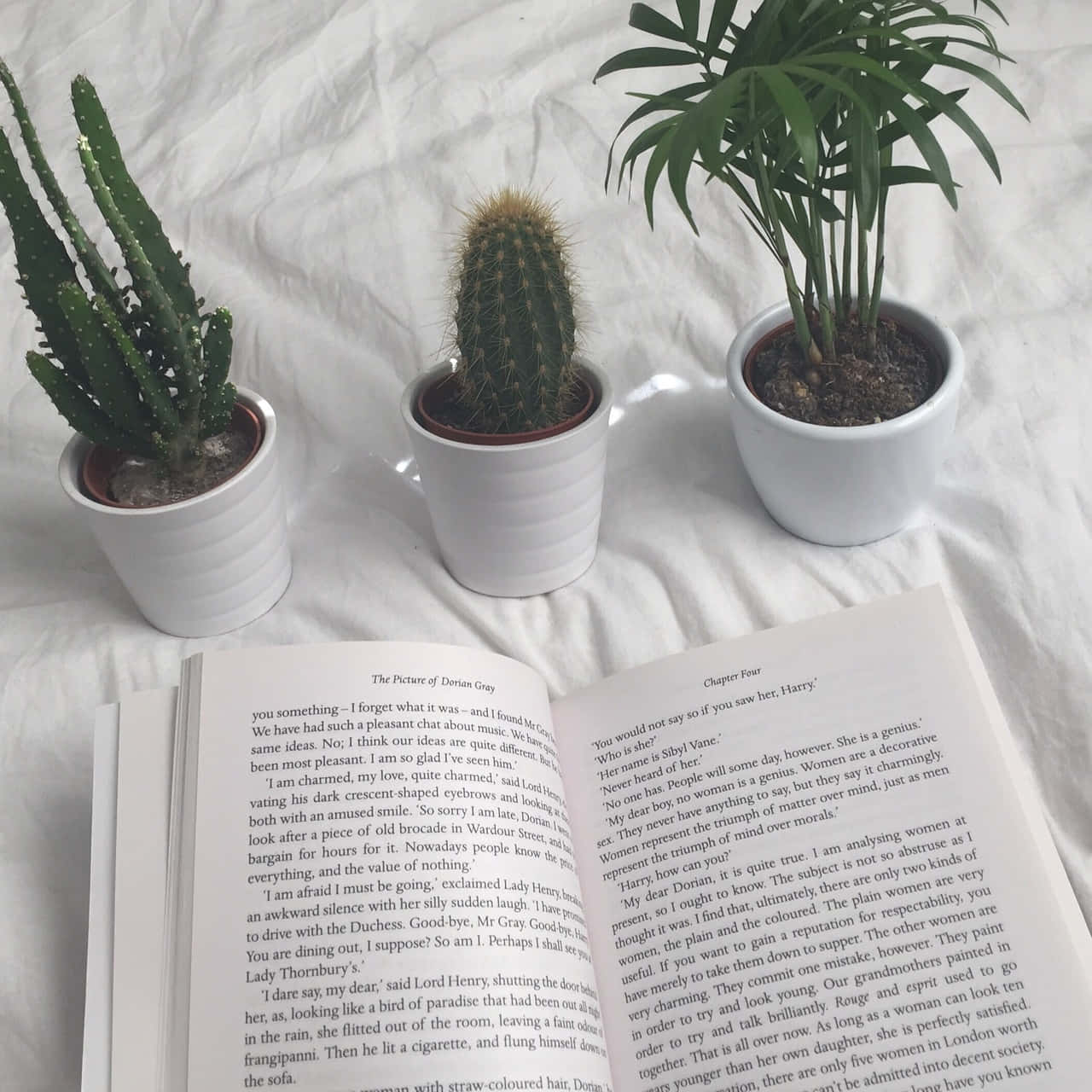 Tuklasin ang mundo ng mga libro! 📖 Wallpaper