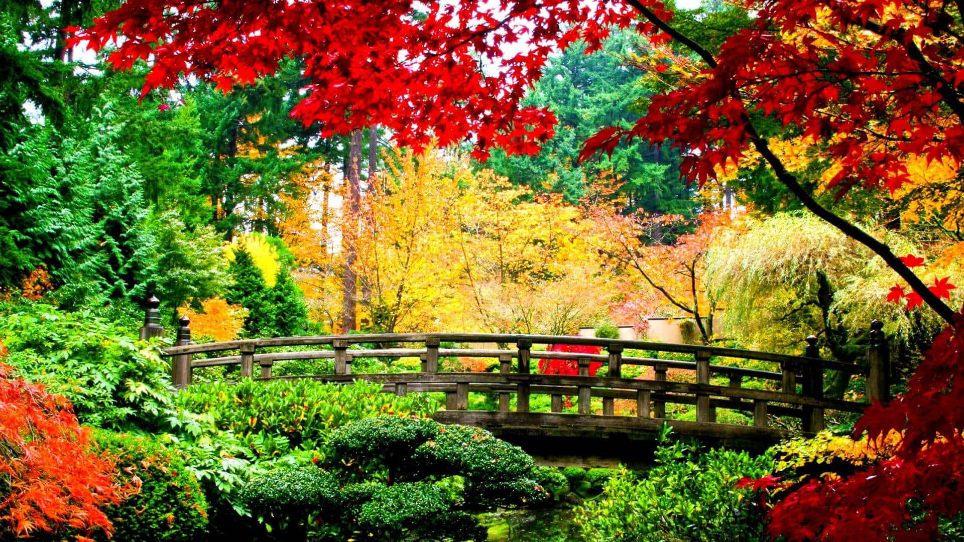 Tulay sa Hardin ng Taglagas HD Fall Background Wallpaper