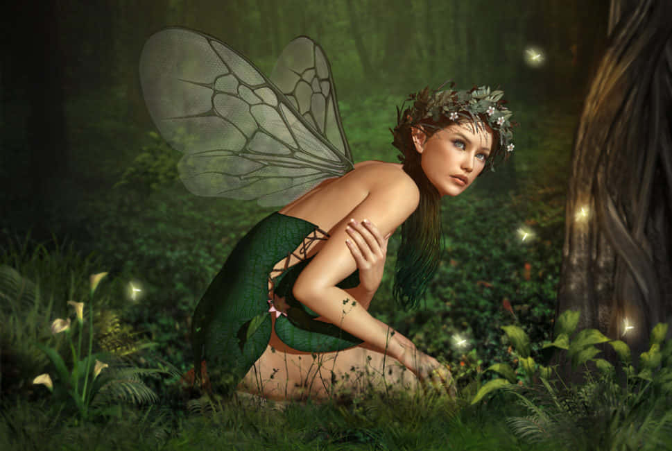 Tumapak sa isang makalangit na kaharian gamit ang nakakabighaning Fairy Aesthetic wallpaper na ito Wallpaper