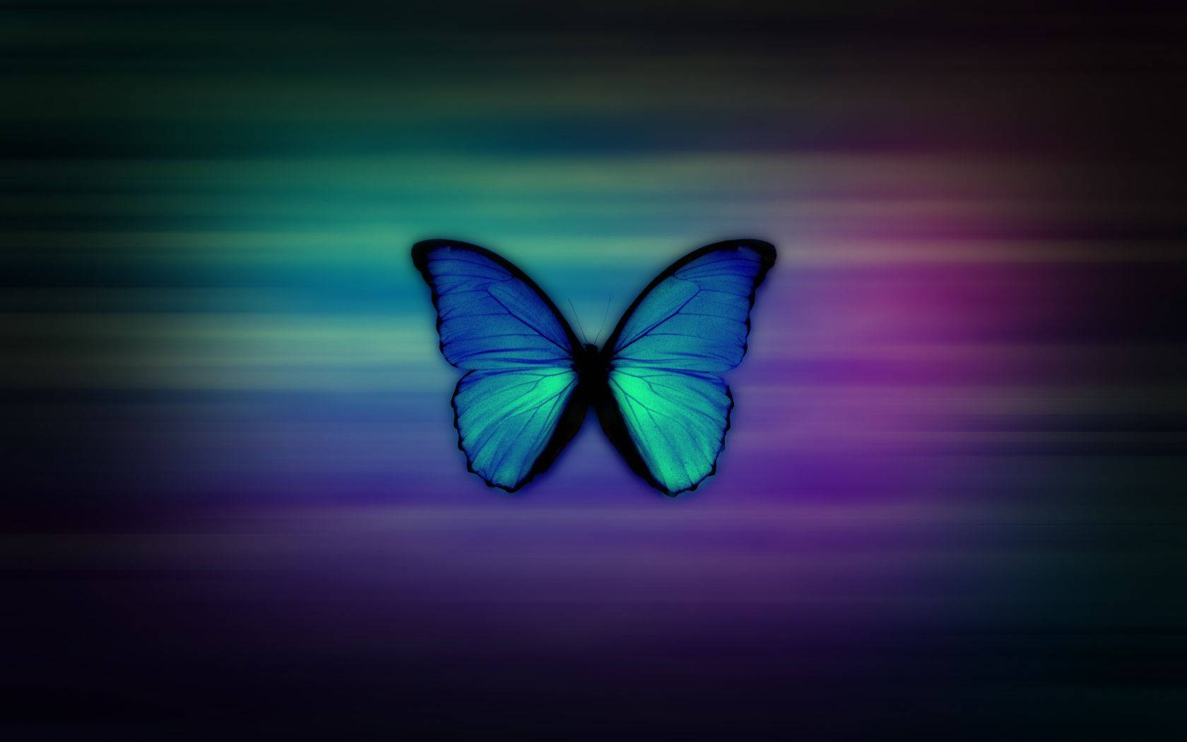 Tunay na Asul na Paru-paro Wallpaper