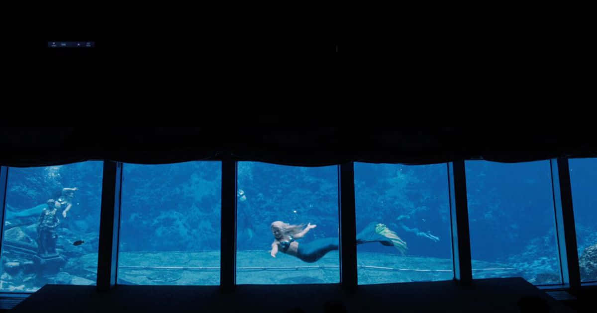 Tunay na Sirena sa Aquarium Wallpaper