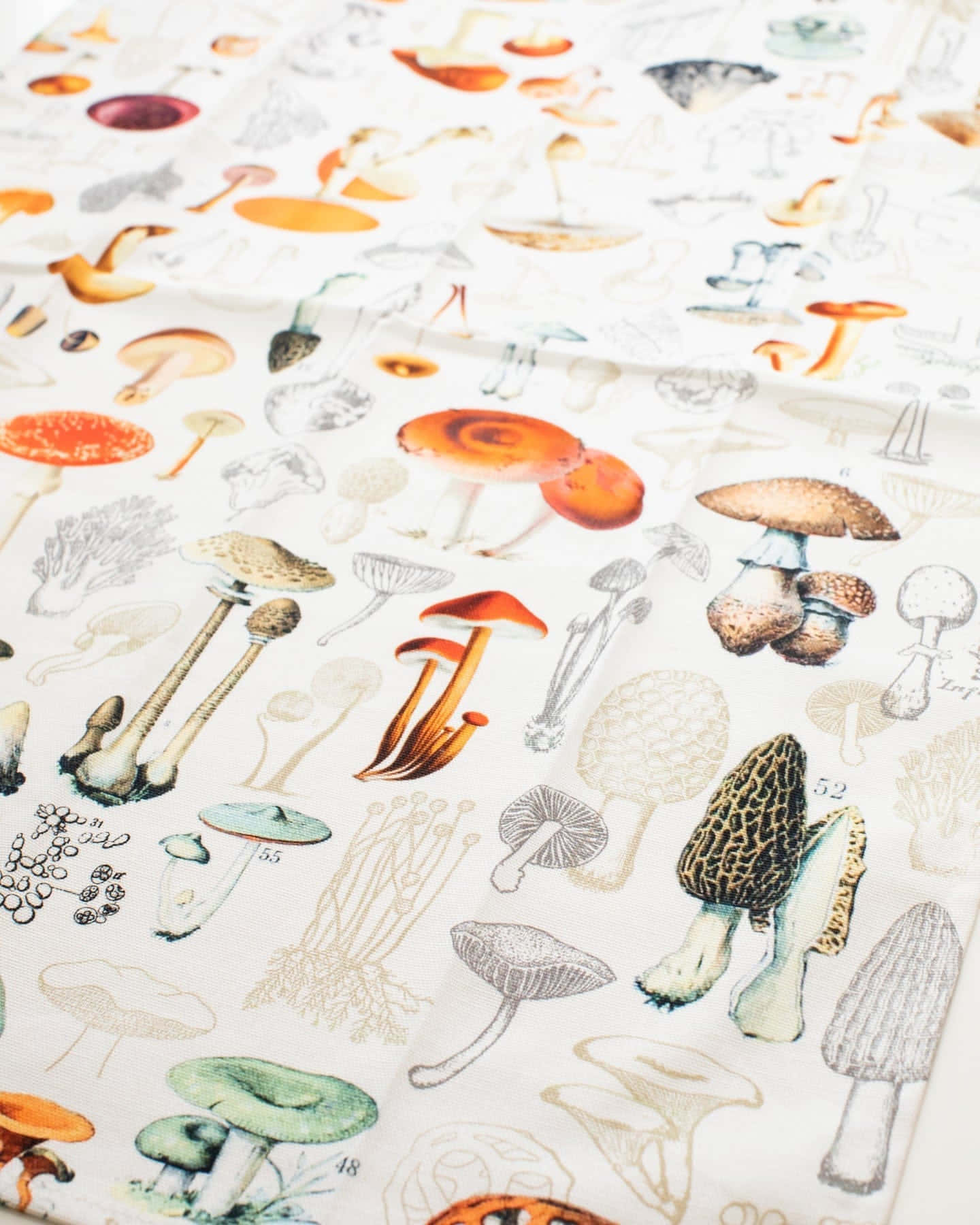 Tuwalya na Tsa na May Disenyong Vintage na Cute na Kabute Wallpaper