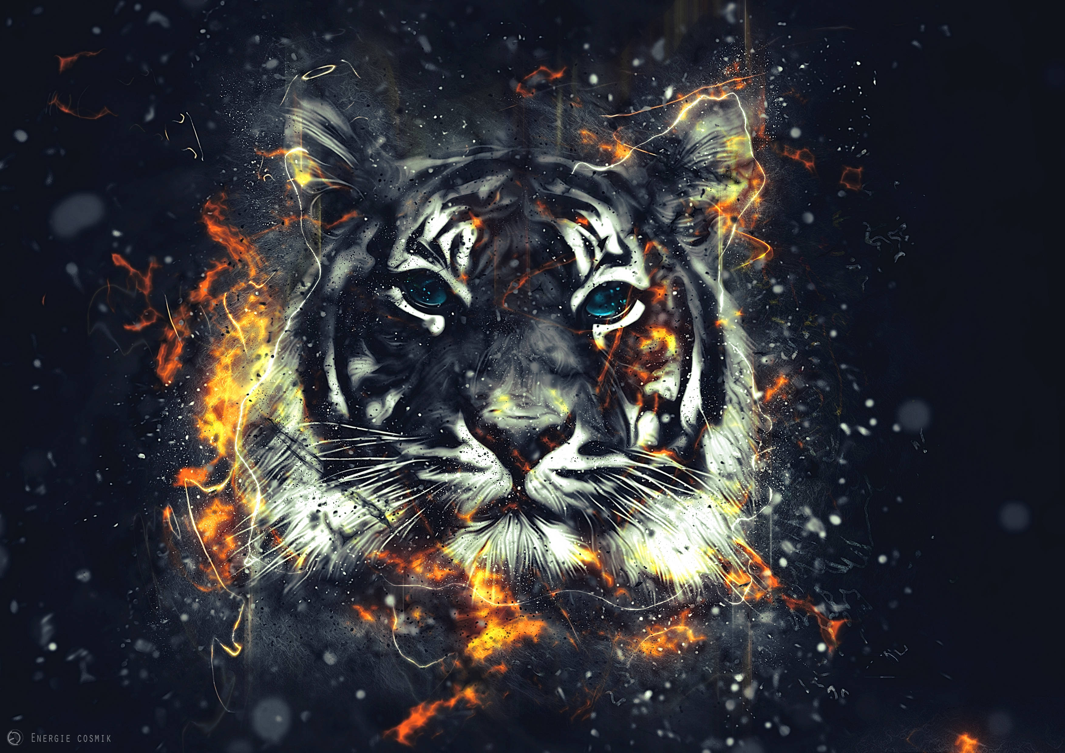 Umaatungal na Tigre na Nagliliyab sa Apoy Wallpaper