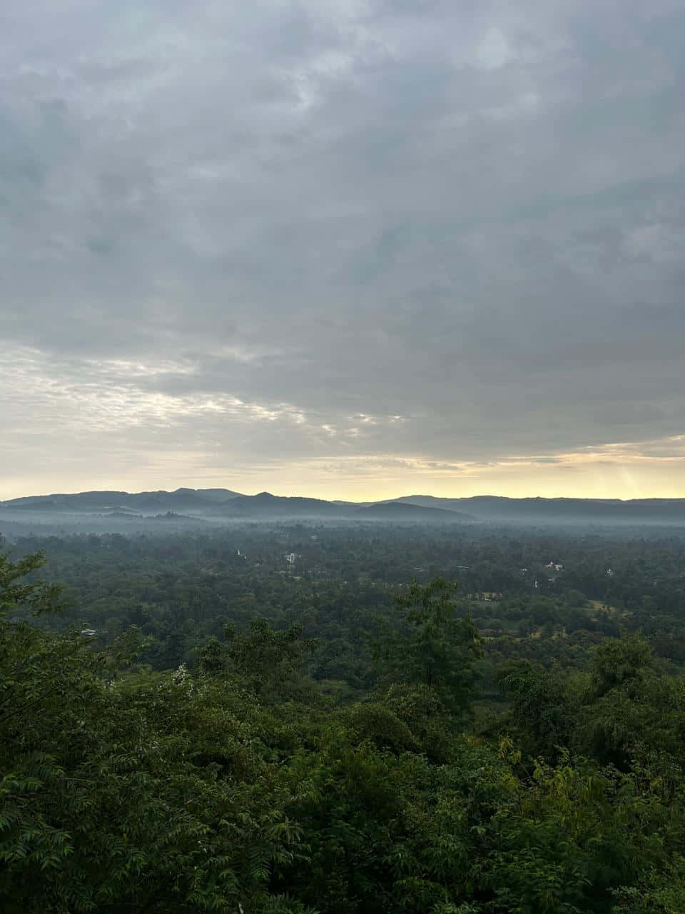 Umaga sa Shrimad Rajchandra Ashram Wallpaper