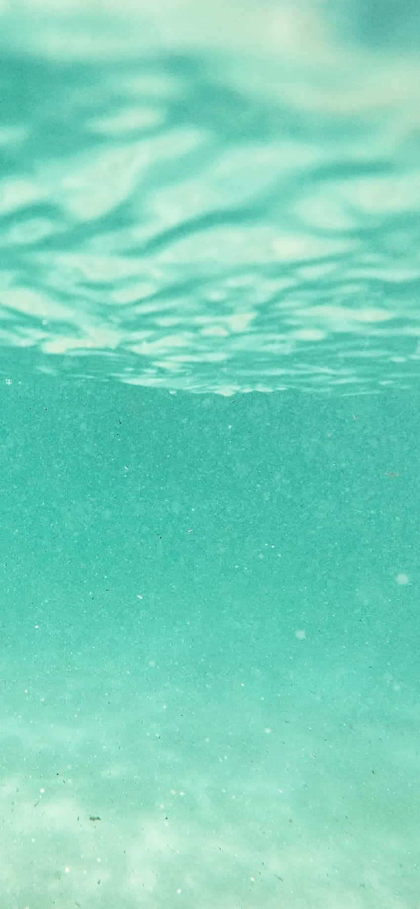 tanaw sa ilalim ng tubig ng karagatan Wallpaper