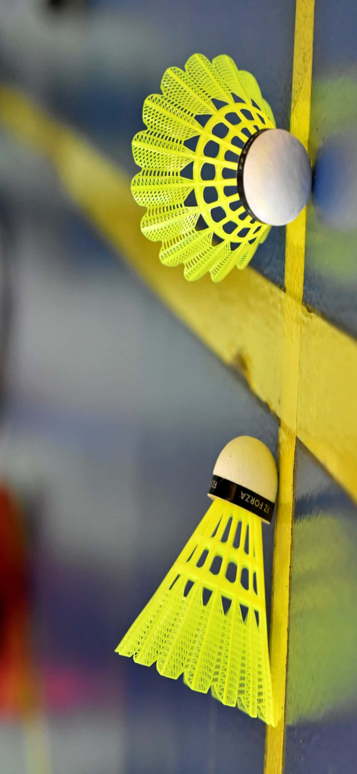 Panalo ng Tagumpay Matapos sa Isang Nakakabang-bantang Laban ng Badminton Wallpaper