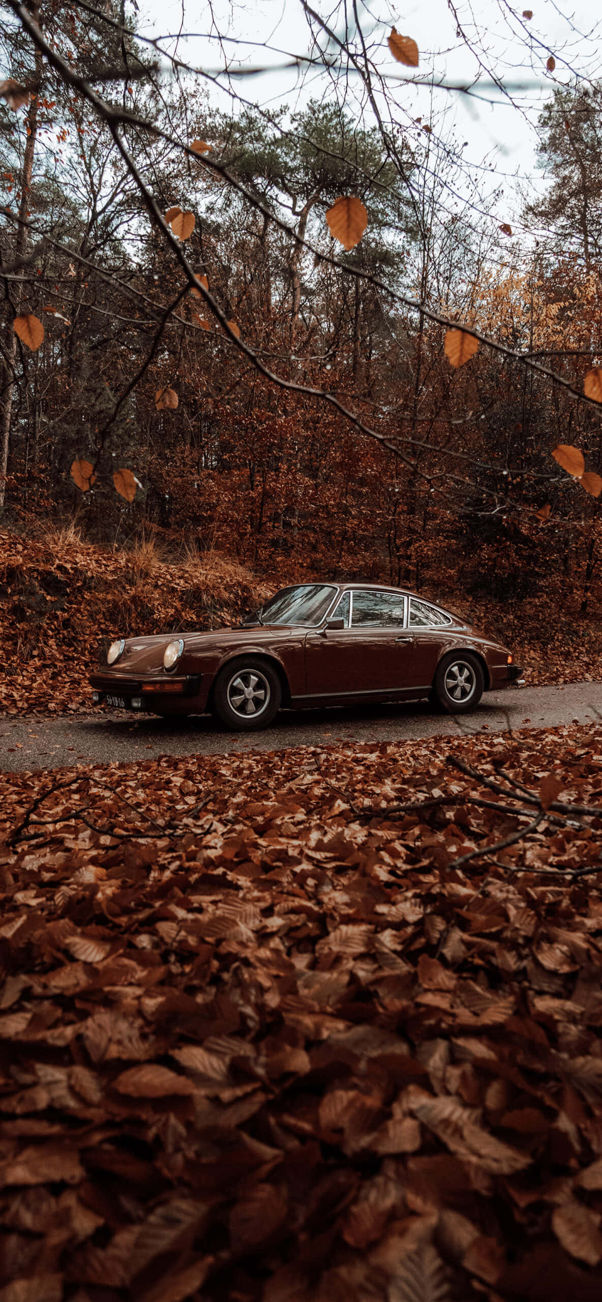 Vintage Aesthetic Fall Trees Car Wallpaper