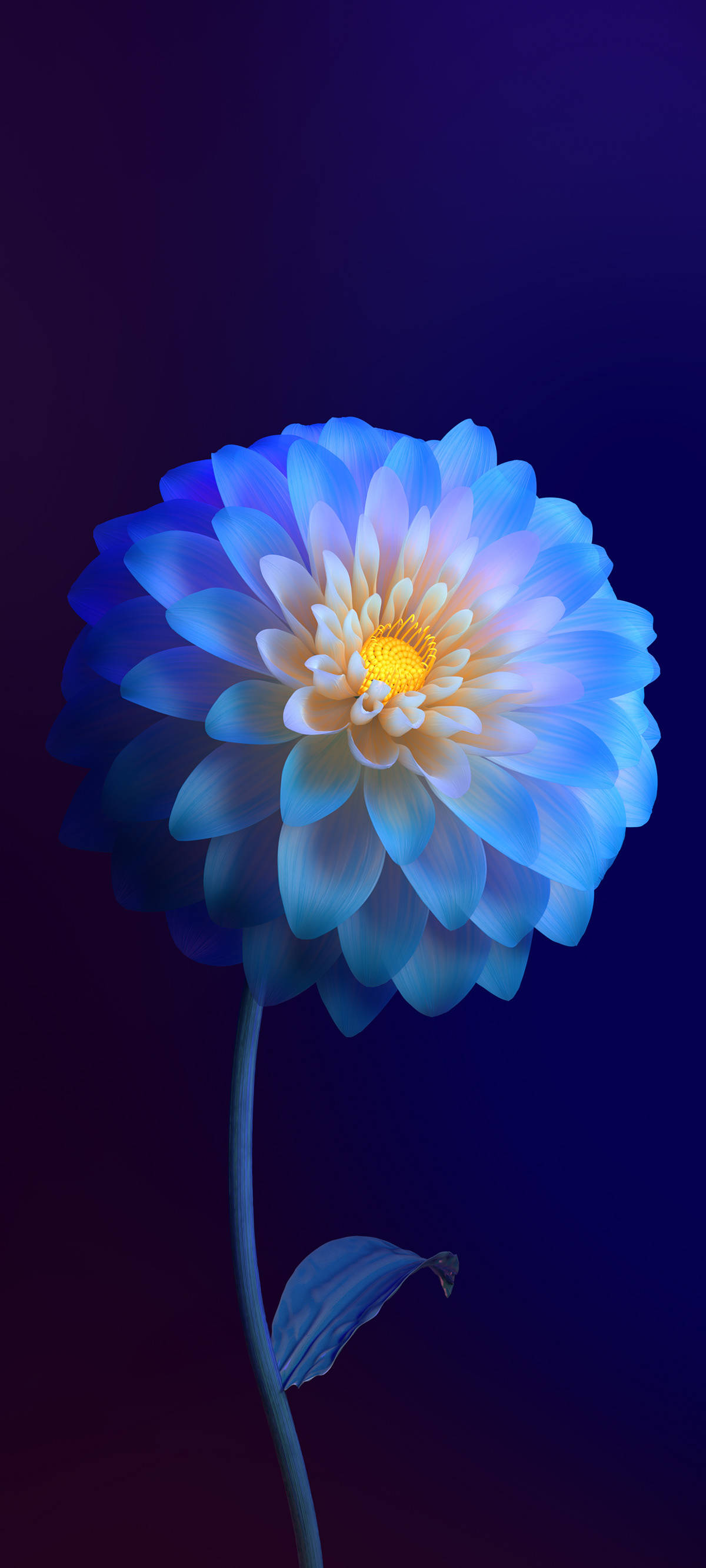 Vivo Y11 Gradiyenteng Bulaklak Wallpaper