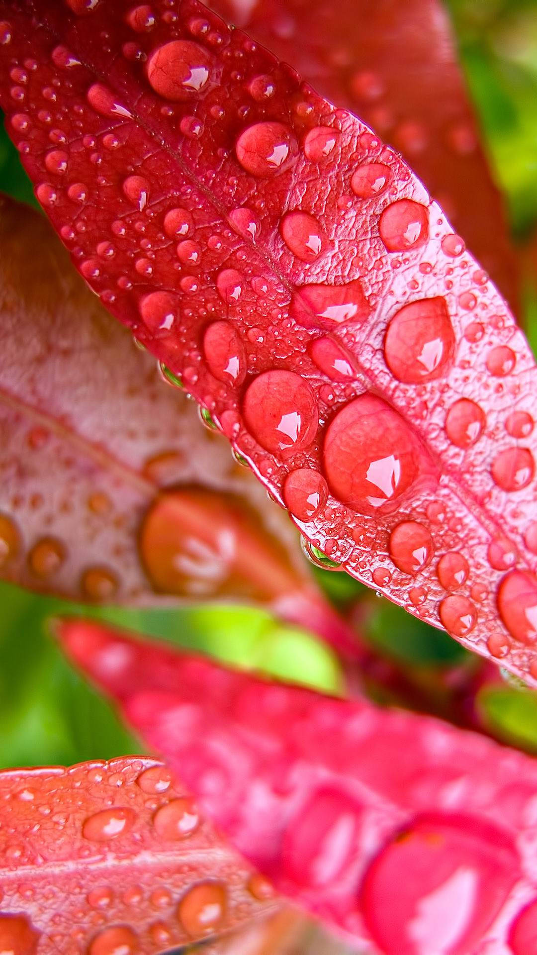 Vivo Y11 Patak ng Tubig Wallpaper