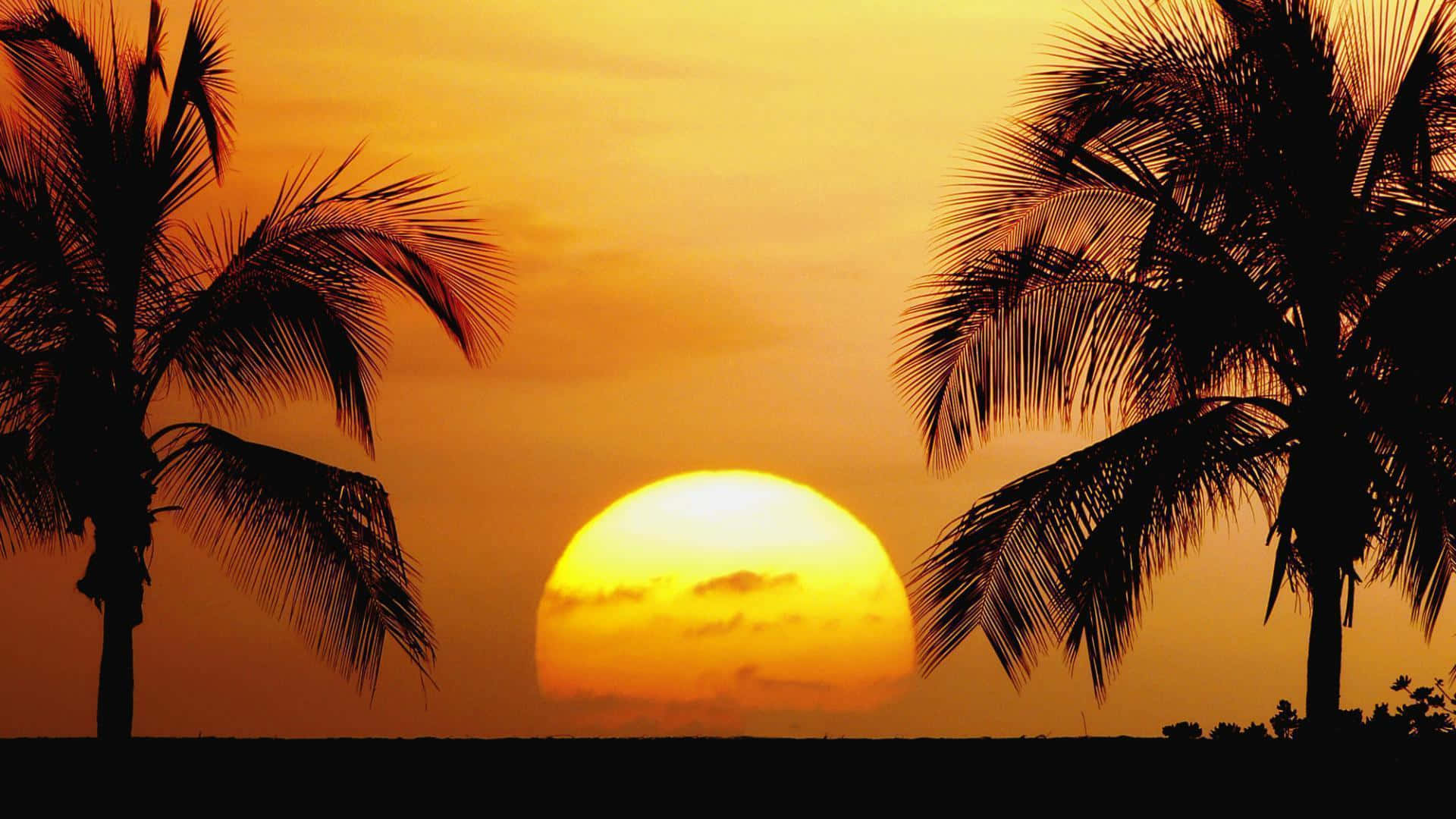 Walang Katapusang Sikat ng Araw sa Dalampasigan Wallpaper