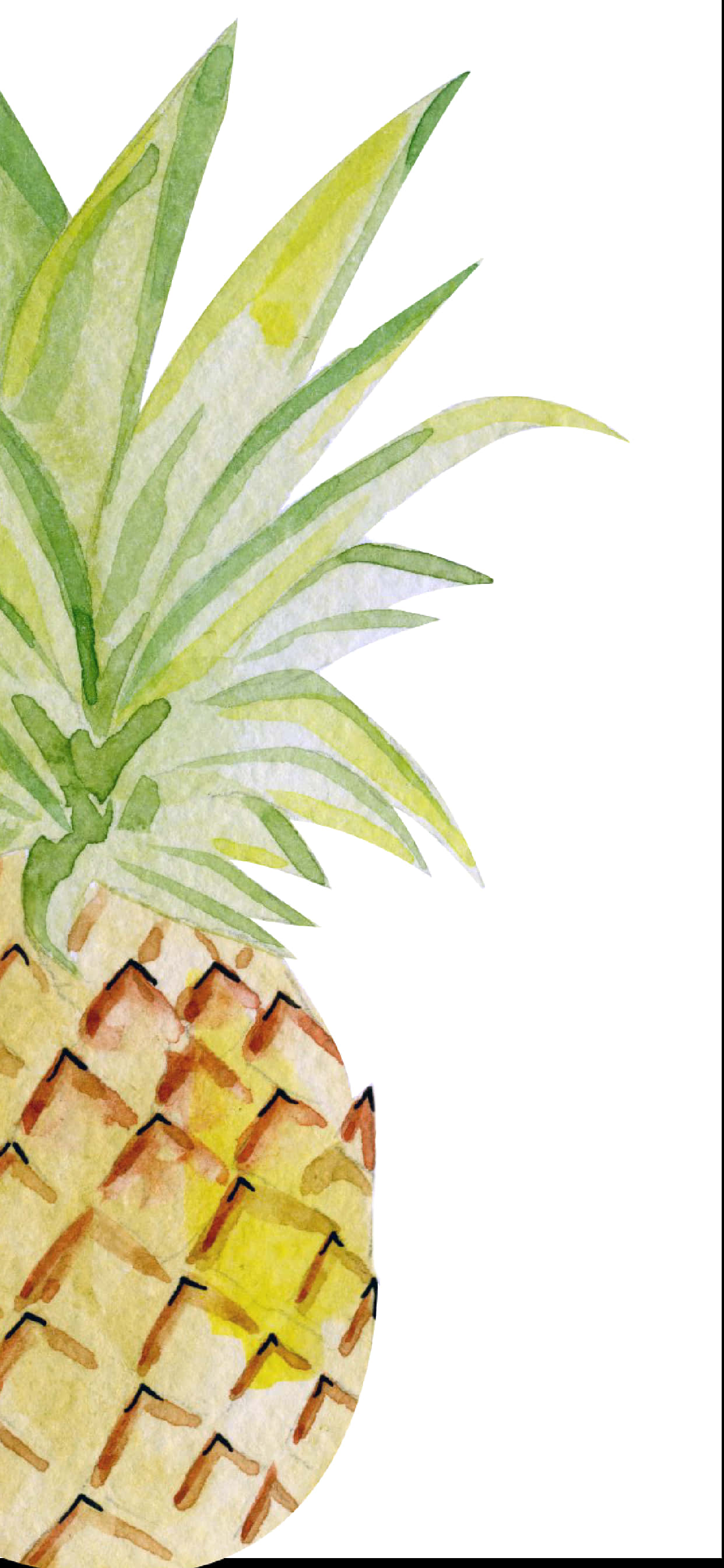 watercolor na pineapple na clip art Wallpaper