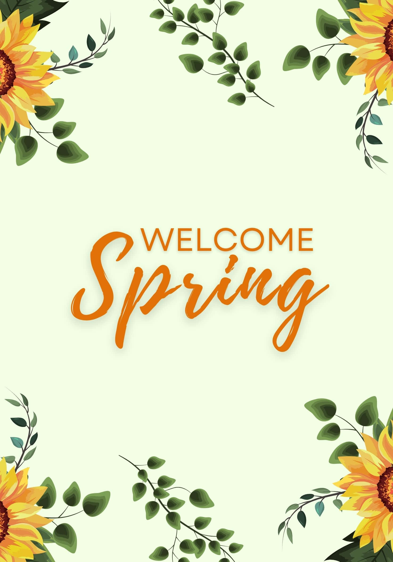 Welcome Best Spring Sunflower Background Wallpaper