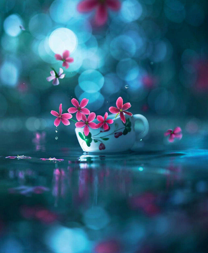 WhatsApp DP Bulaklak na Tasa Wallpaper