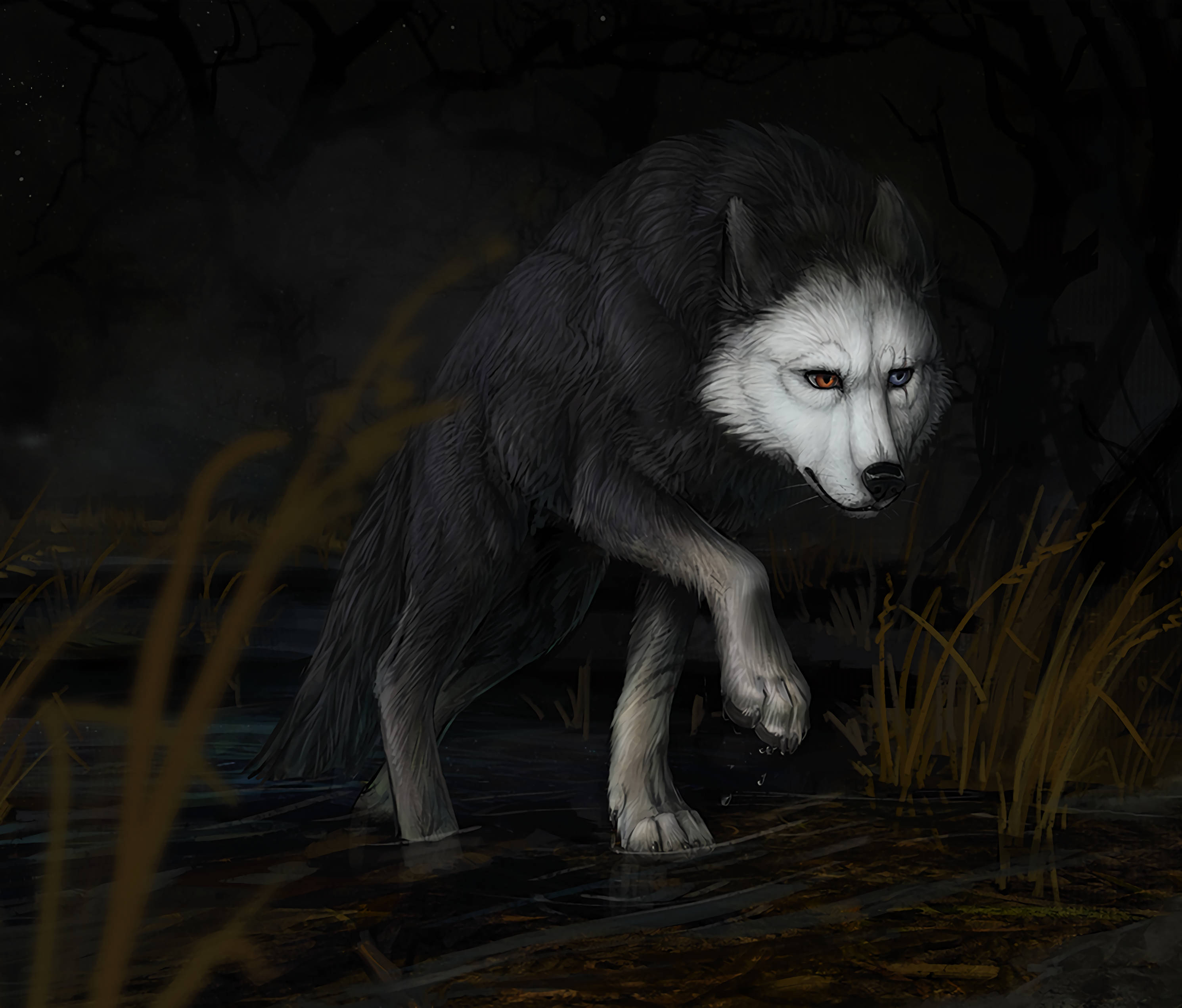 Wily at Wise Wolf Wallpaper