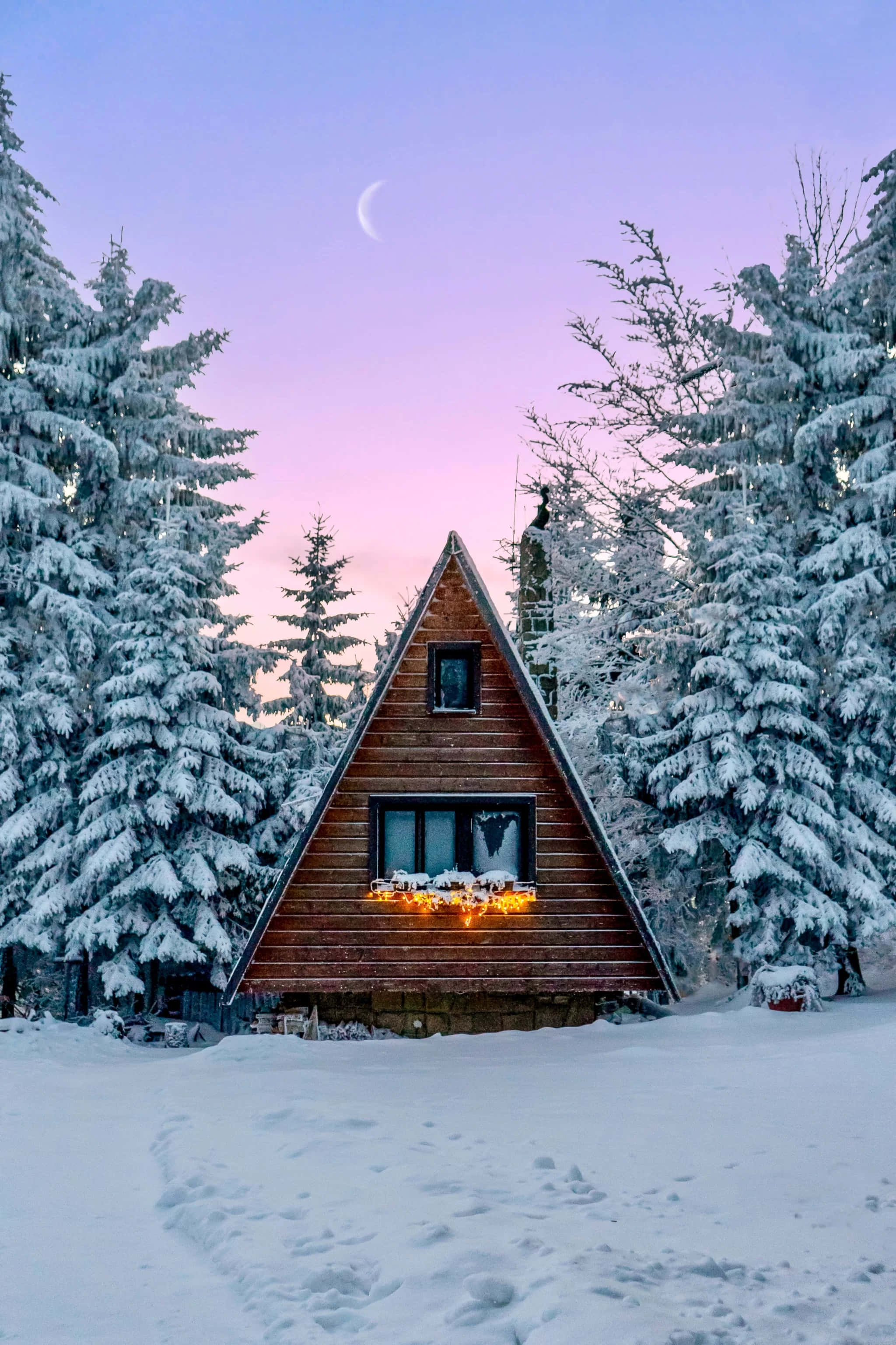 Winter iPhone Background Wallpaper