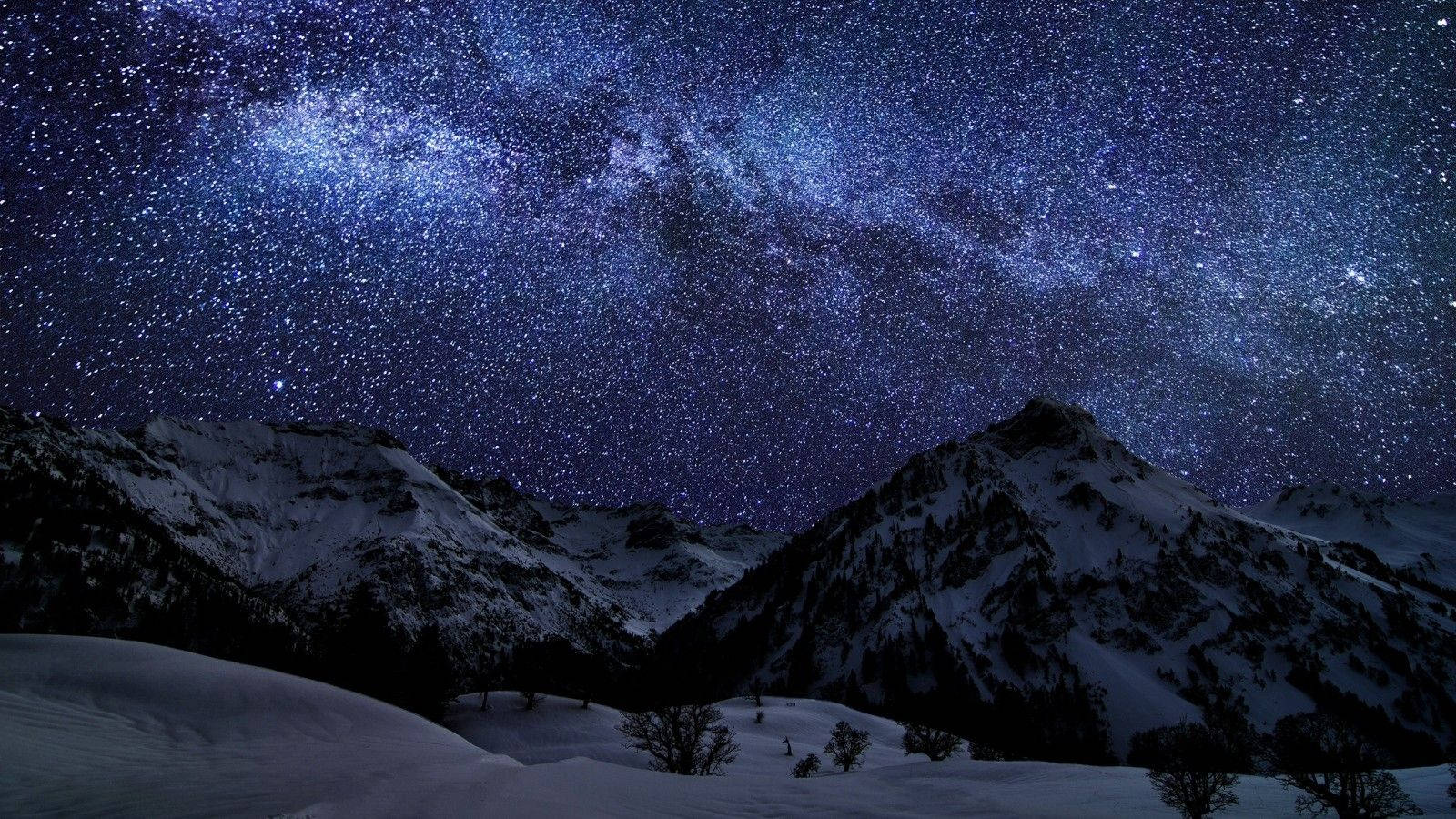 “Winter Wonderland” Wallpaper