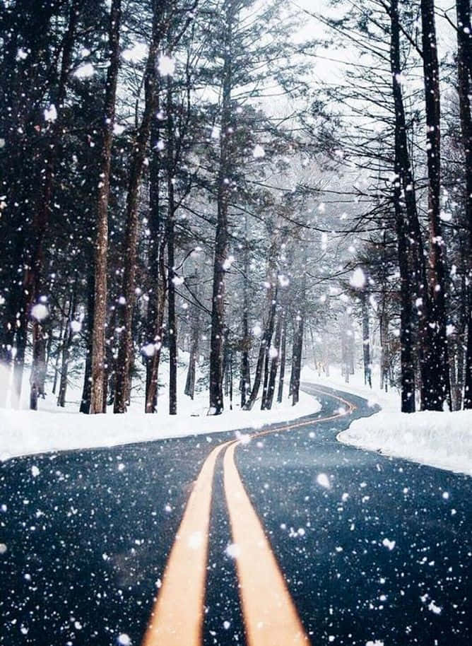 Winter Wonderland: Isang Niyebeng Daan sa Kagubatan Wallpaper