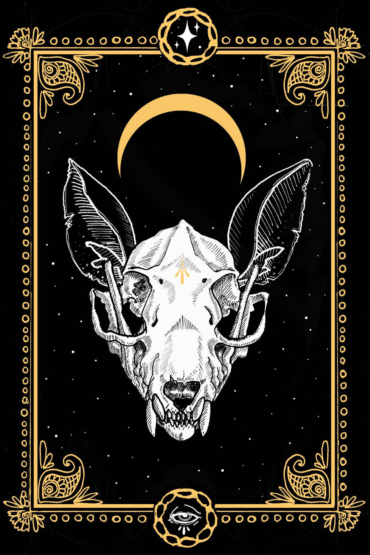Witchy Aesthetic na Skull Card Wallpaper