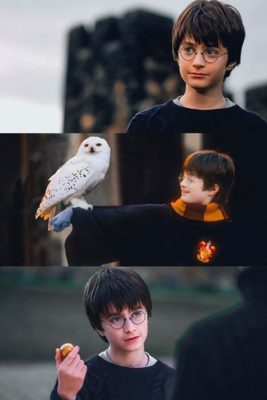 "Yakapin ang iyong panloob na mahika! #AestheticHarryPotter" Wallpaper