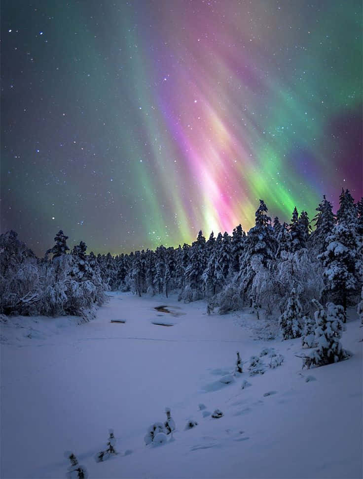 Yakapin ang Kagandahan ng Isang Winter Wonderland Wallpaper