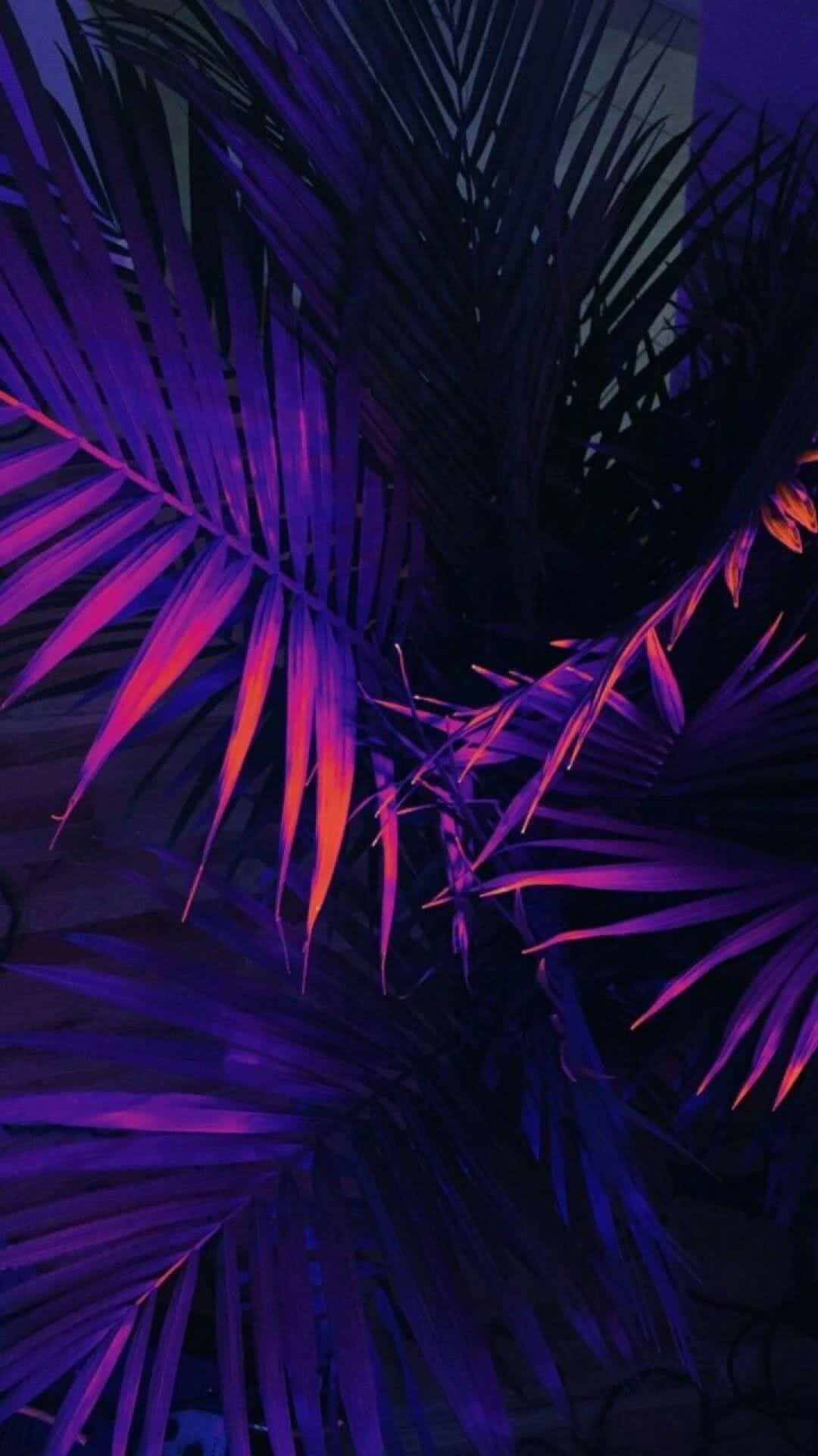Yakapin at Ipagdiwang ang Kagandahan ng Buhay Wallpaper
