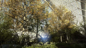1920x1080 Ang Talos Principle Background — Video game GIF Wallpaper