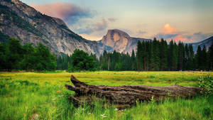 8k 7680x4320 Ultra Hd Resolution Desktop Yosemite