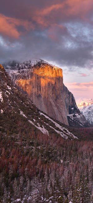 Yosemite Iphone — iPhone 11 Pro Wallpaper